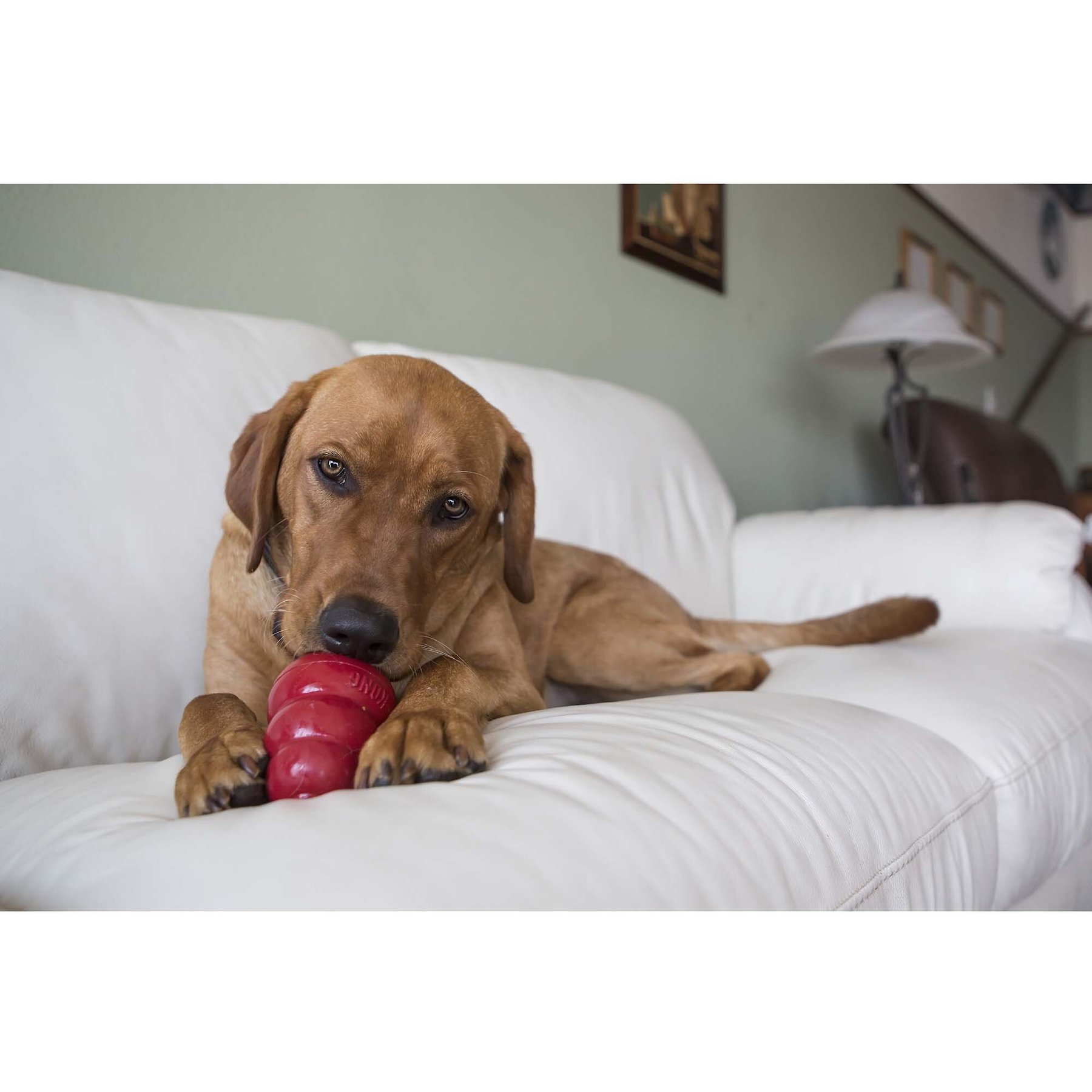 KONG Stuff'N Liver Snacks Crunchy Dog Treats