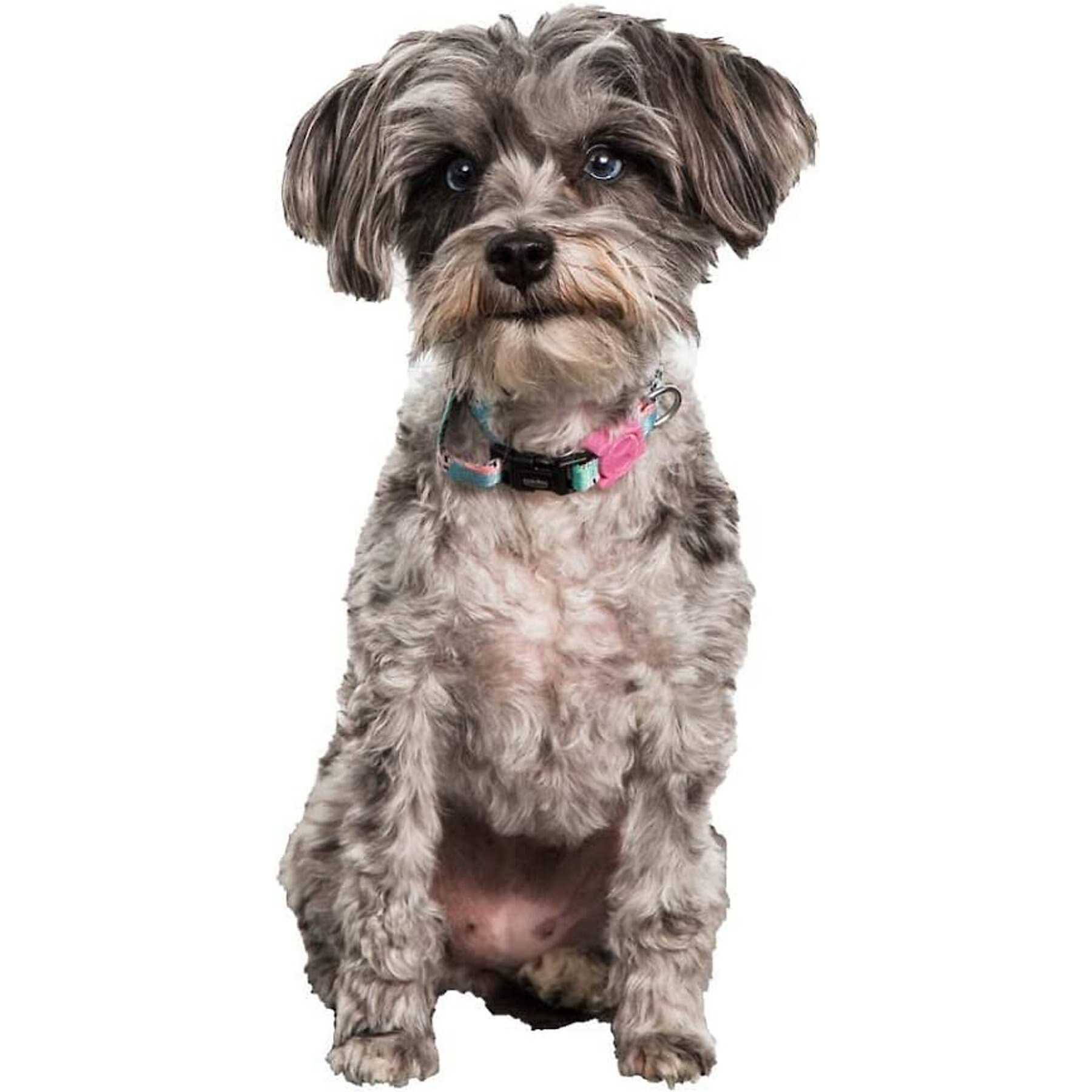 Pupford Beef Tendon Dog Chews