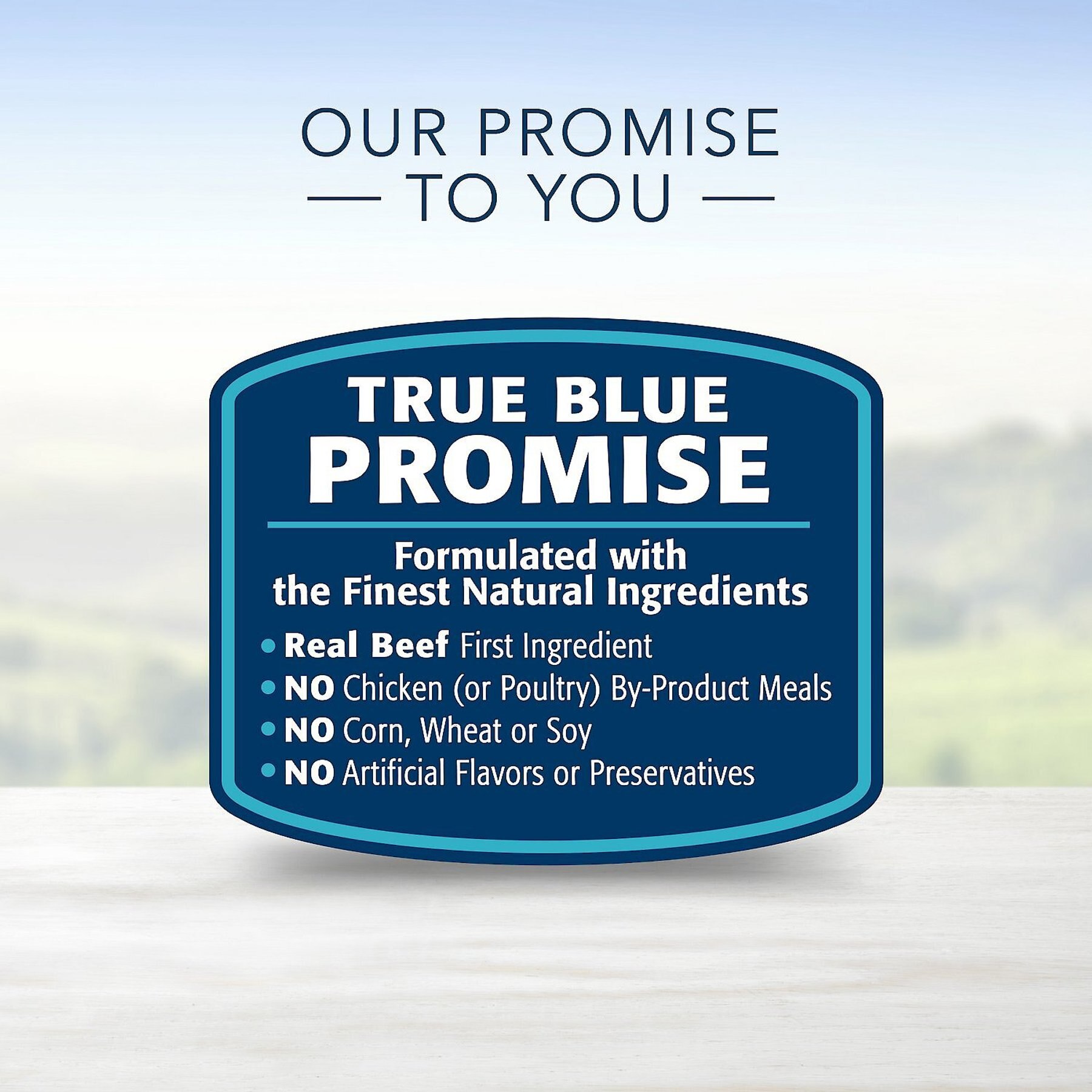 Blue Buffalo Divine Delights Prime Rib Flavor Hearty Gravy Dog Food Trays