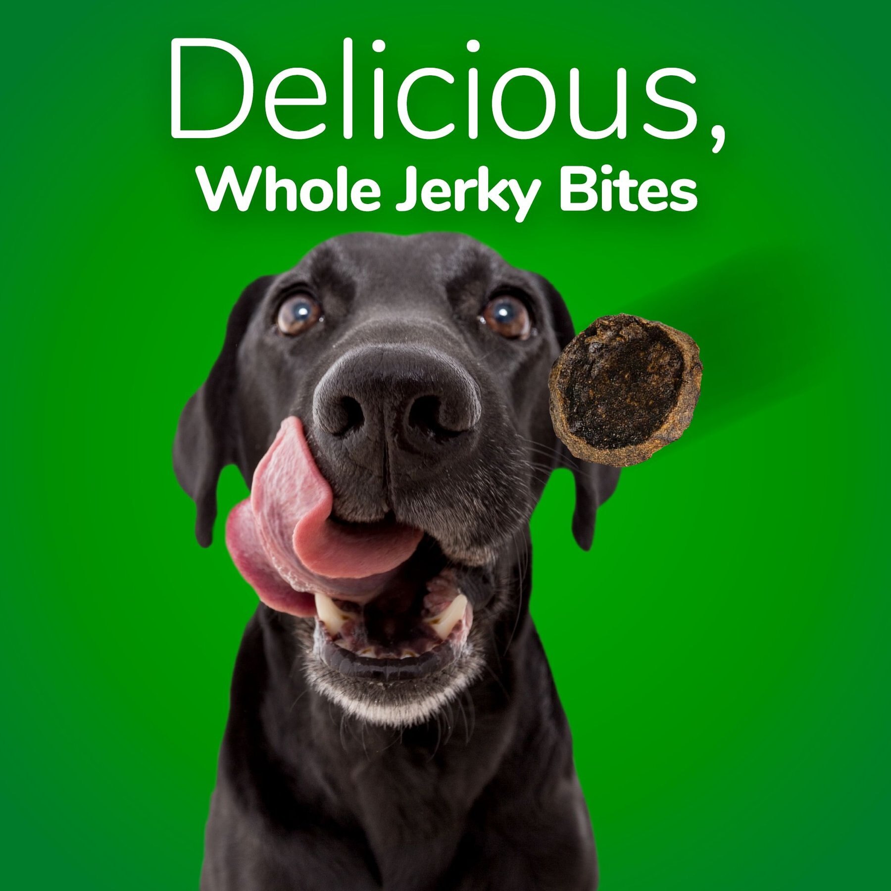Fruitables Whole Jerky Bites Bacon & Apple Dog Treats