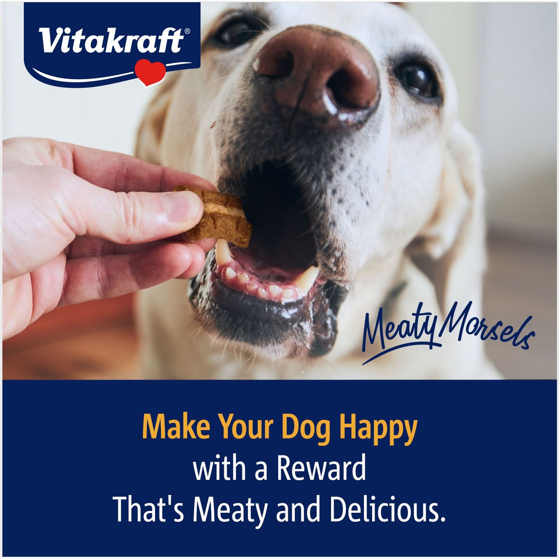 Vitakraft Meaty Morsels Chicken Recipe with Beef Soft & Chewy Dog Treats, 4.2-oz bag, 3 count
