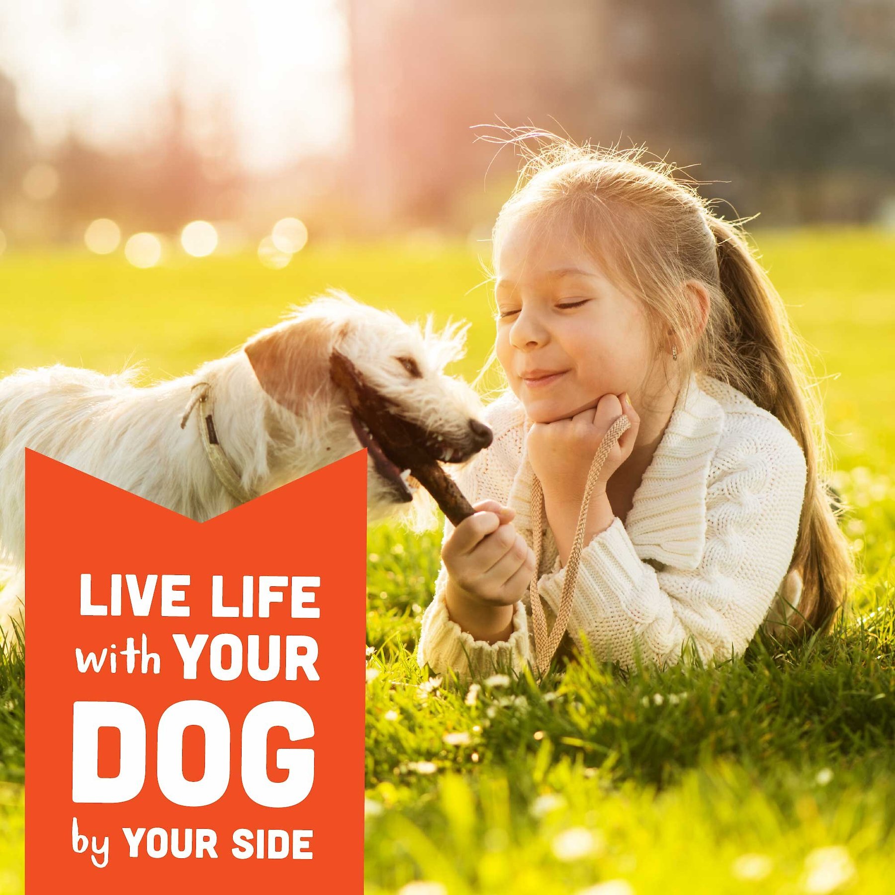 Cloud Star Wag More Bark Less Grain-Free Oven Baked Peanut Butter & Apples Mini Biscuits Dog Treats