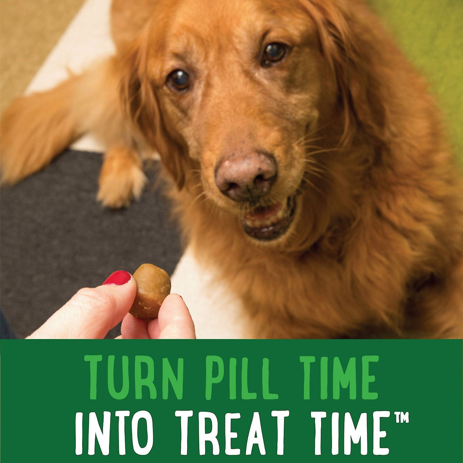 Greenies Pill Pockets Canine Chicken Flavor Dog Treats