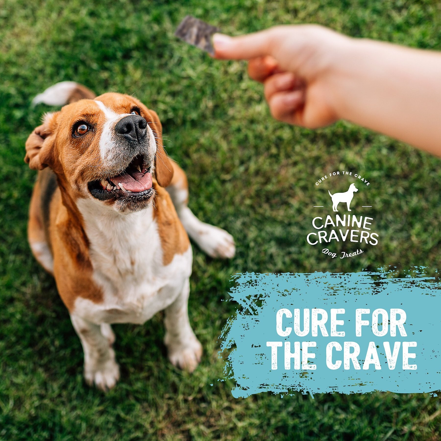 Canine Cravers Crispy Cod Skins Dehydrated Dog Treats, 4-oz pouch