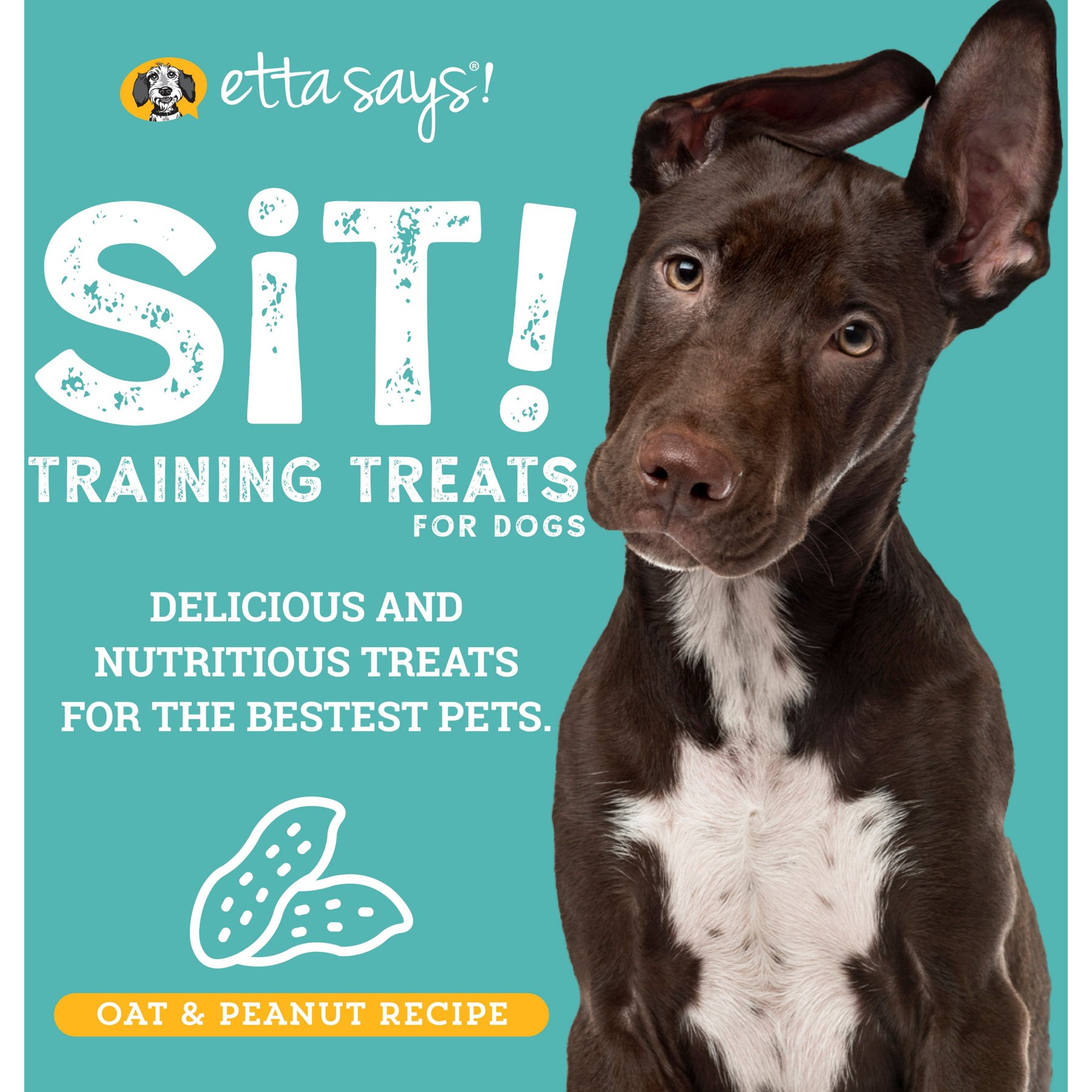 Etta Says! Sit! Peanut Butter Recipe Soft & Chewy Dog Training Treats, 1-lb bag
