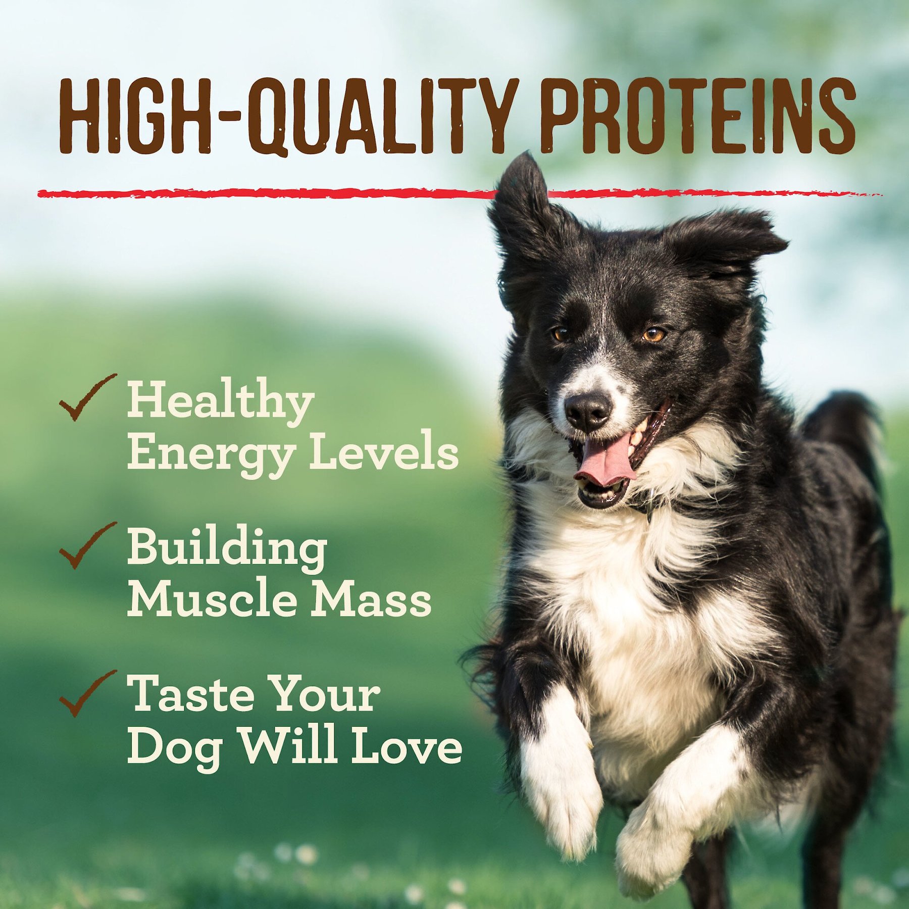 Merrick Grain-Free Real Beef, Lamb & Bison Canned Dog Food