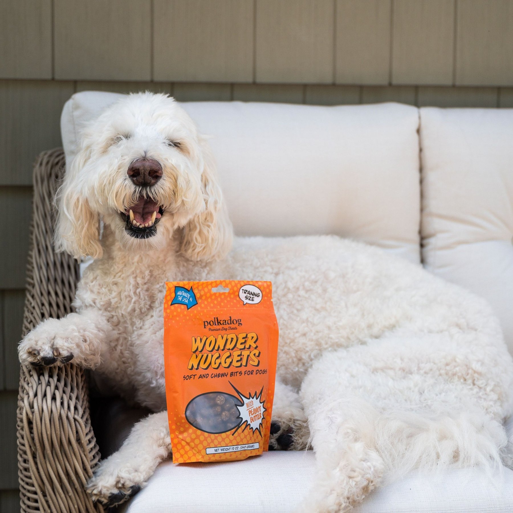 Polkadog Wonder Nuggets Peanut Butter Flavor Soft & Chewy Dog Treats