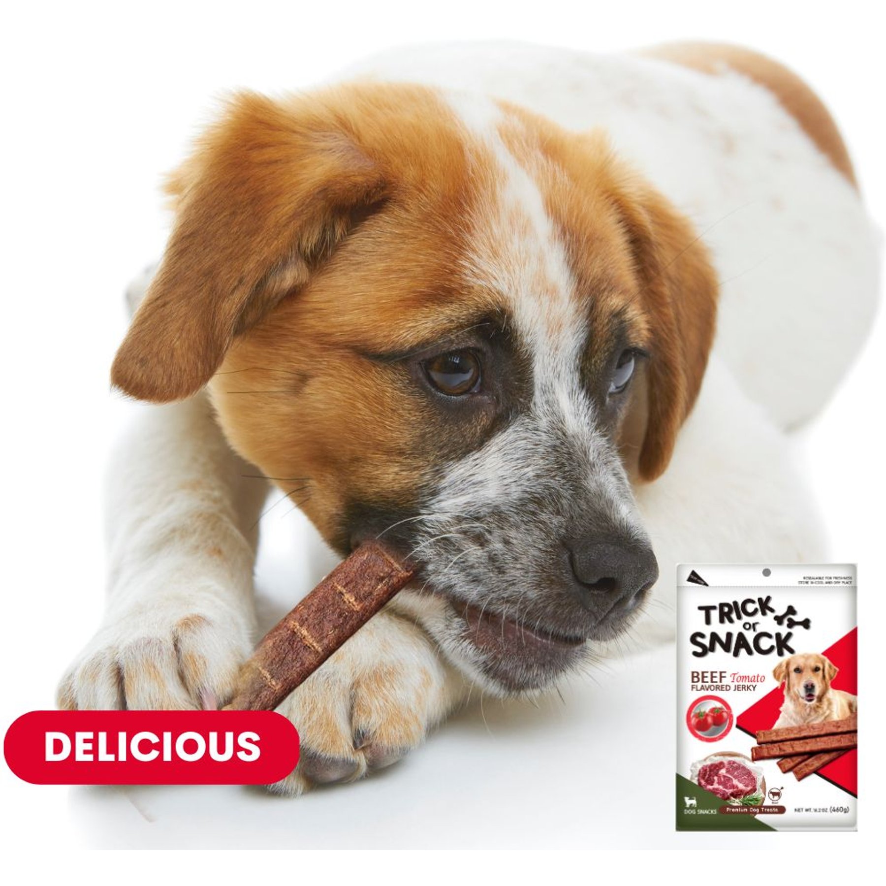 Trick or Snack Beef & Tomato Flavored Jerky Dog Treats, 1-lb bag