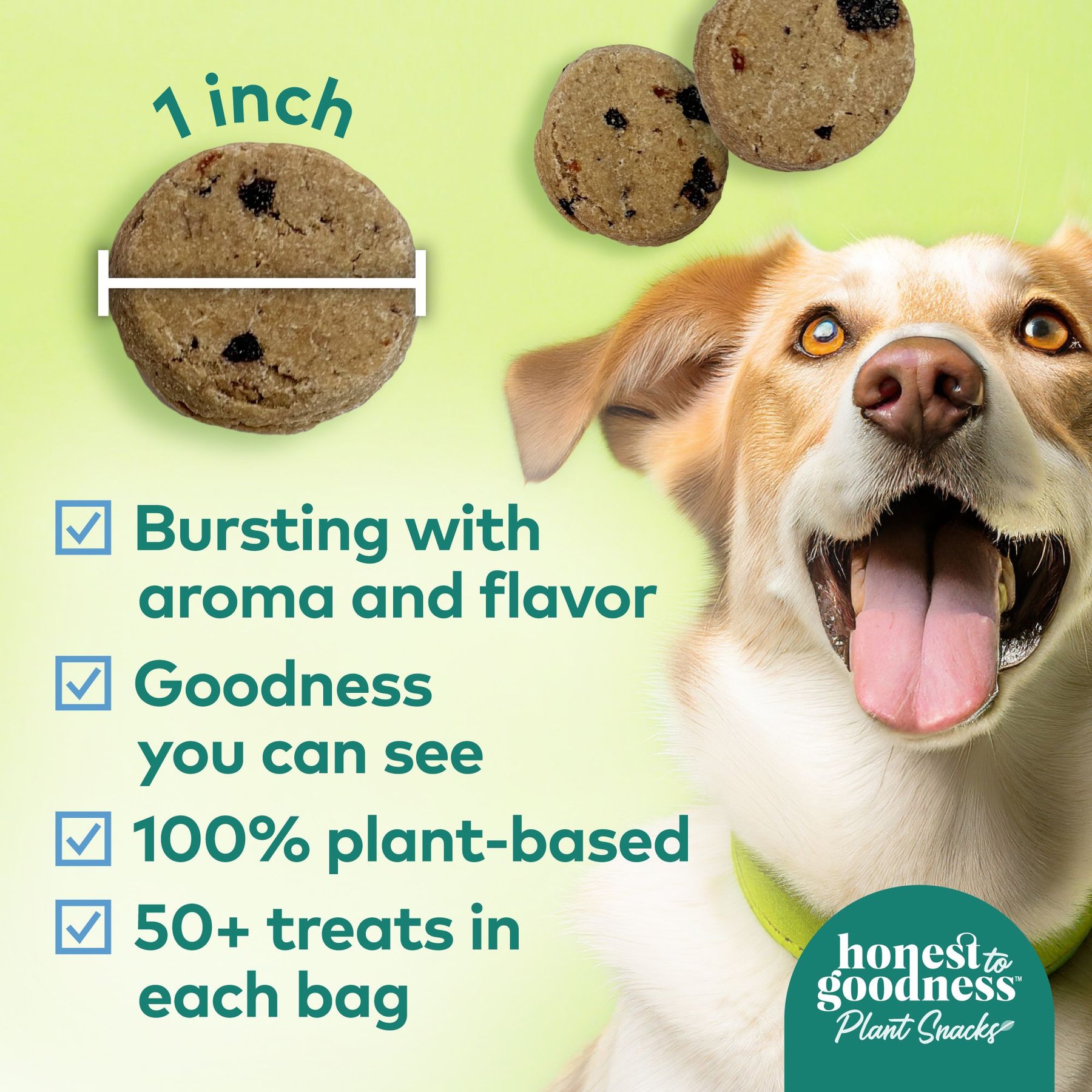 Honest To Goodness Plant Snacks Golden Years Blueberry & Carrot Dog Treats, 8-oz bag