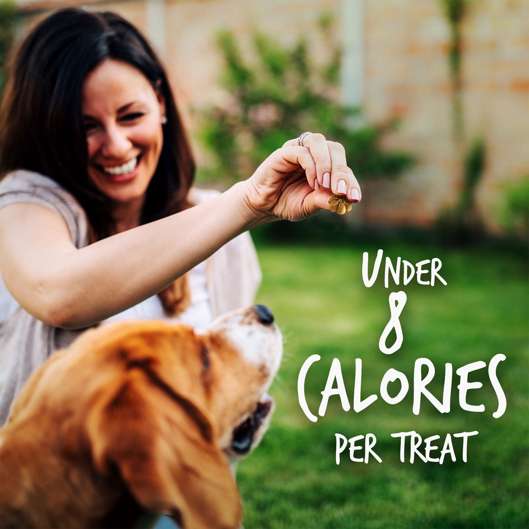 Fruitables Pumpkin & Blueberry Flavor Dog Treats