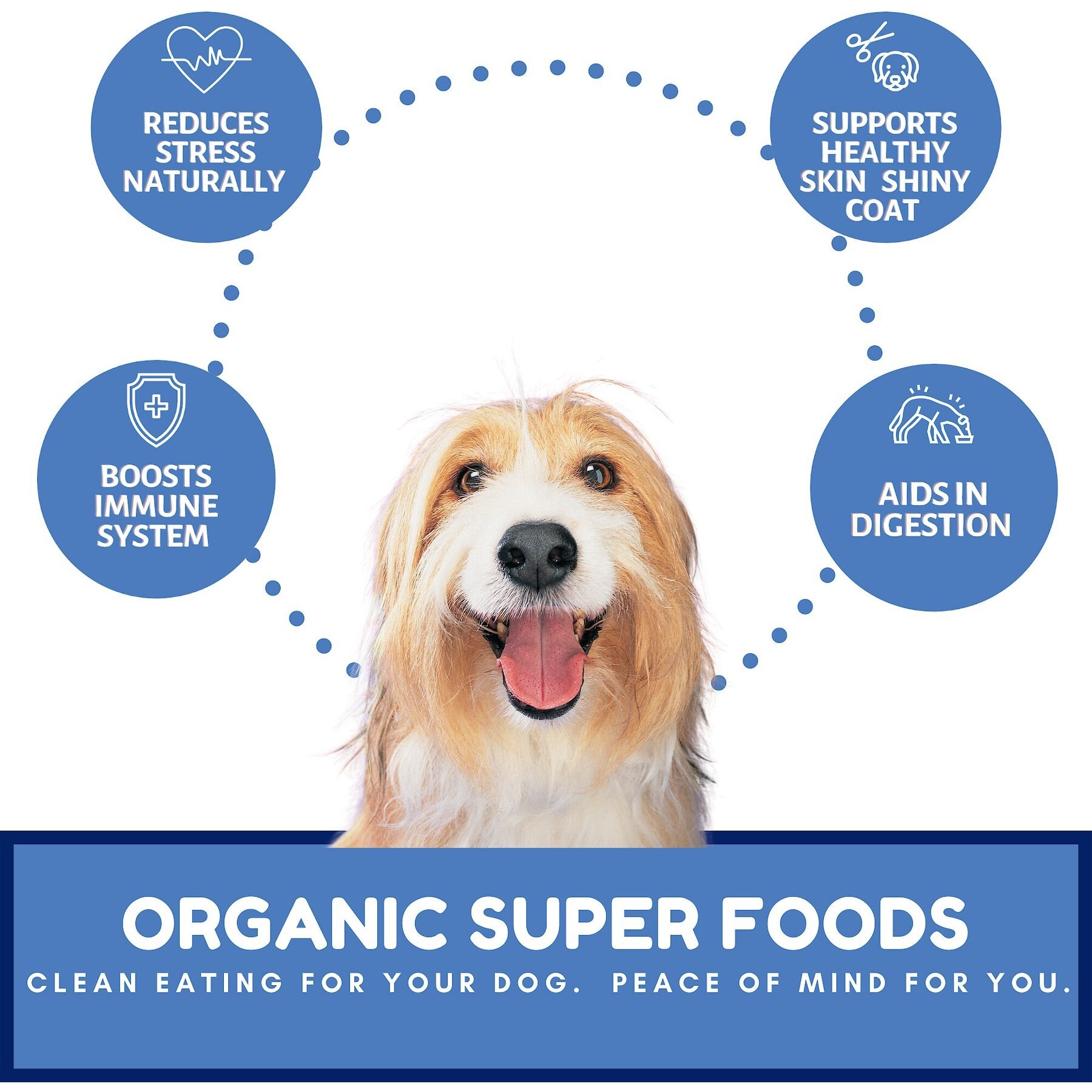 Dog Mamma’s Organic Berry Banana Coco Chunk Dog Treats