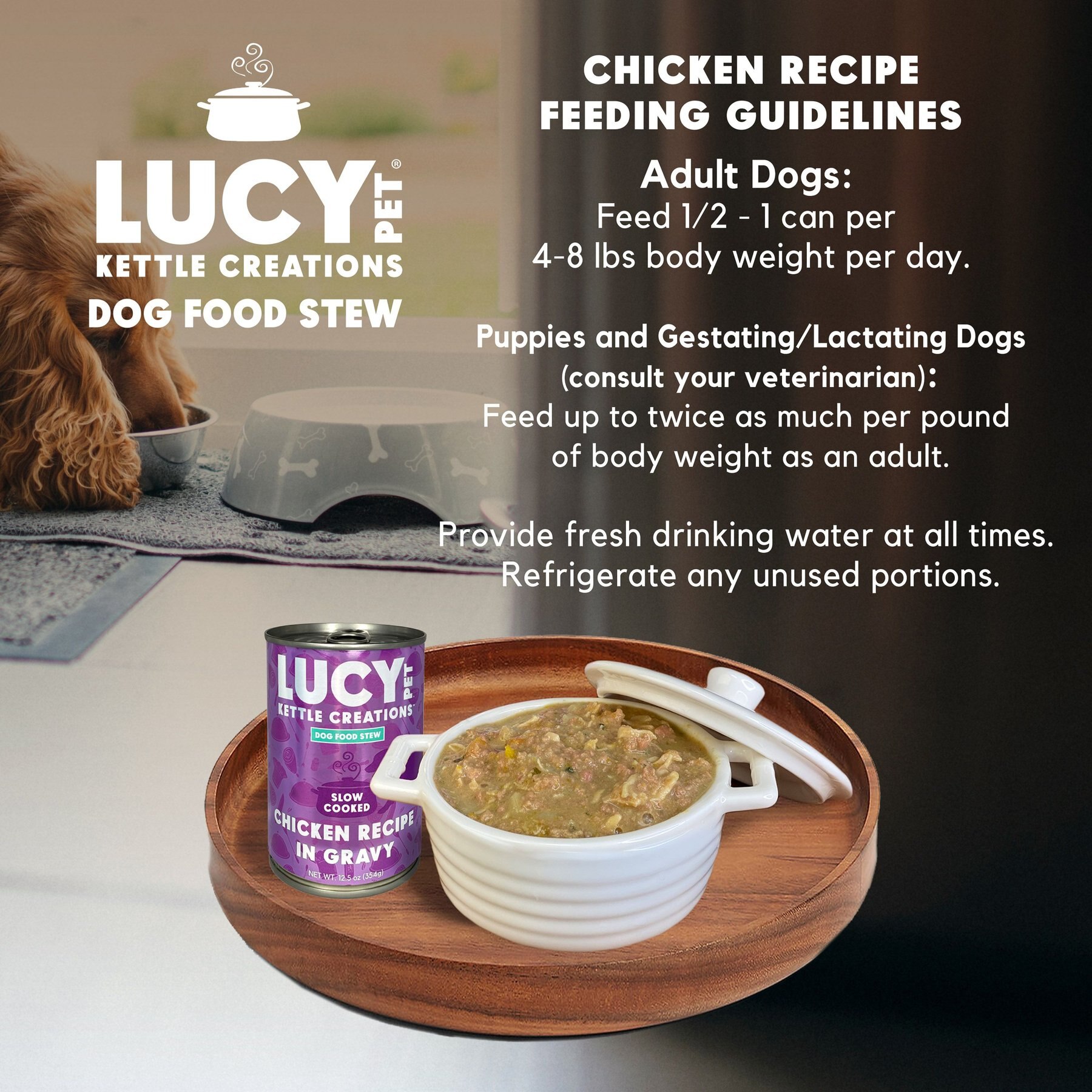 Lucy Pet Products Kettle Creations Chicken Recipe in Gravy Wet Dog Food, 12.5-oz can, case of 12