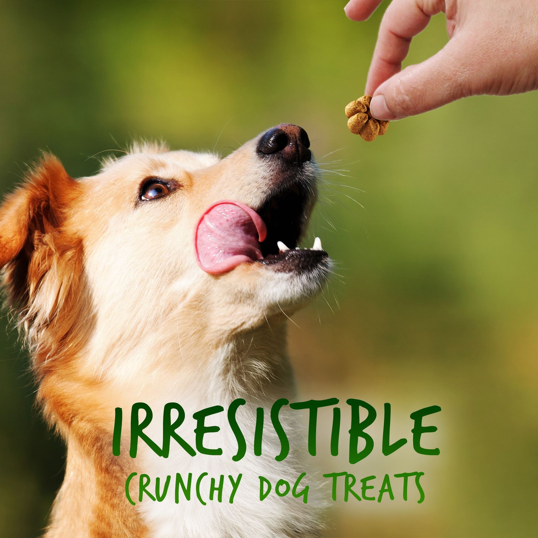 Fruitables Pumpkin & Apple Flavor Dog Treats