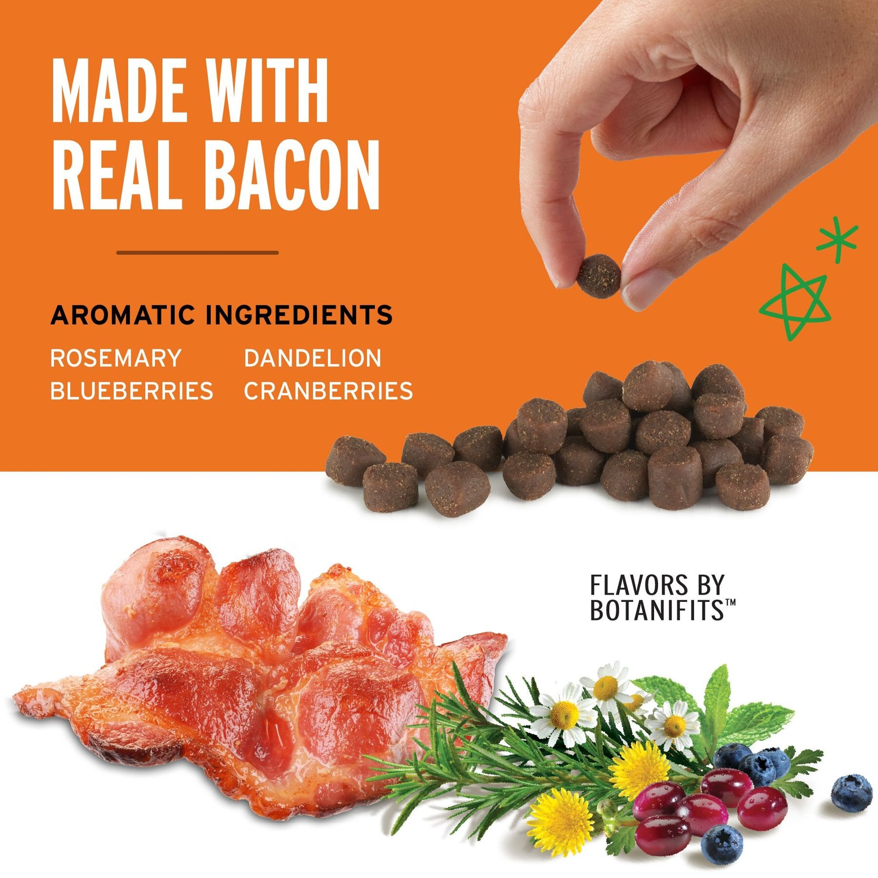Pet Botanics Training Reward Bacon Flavor Dog Treats
