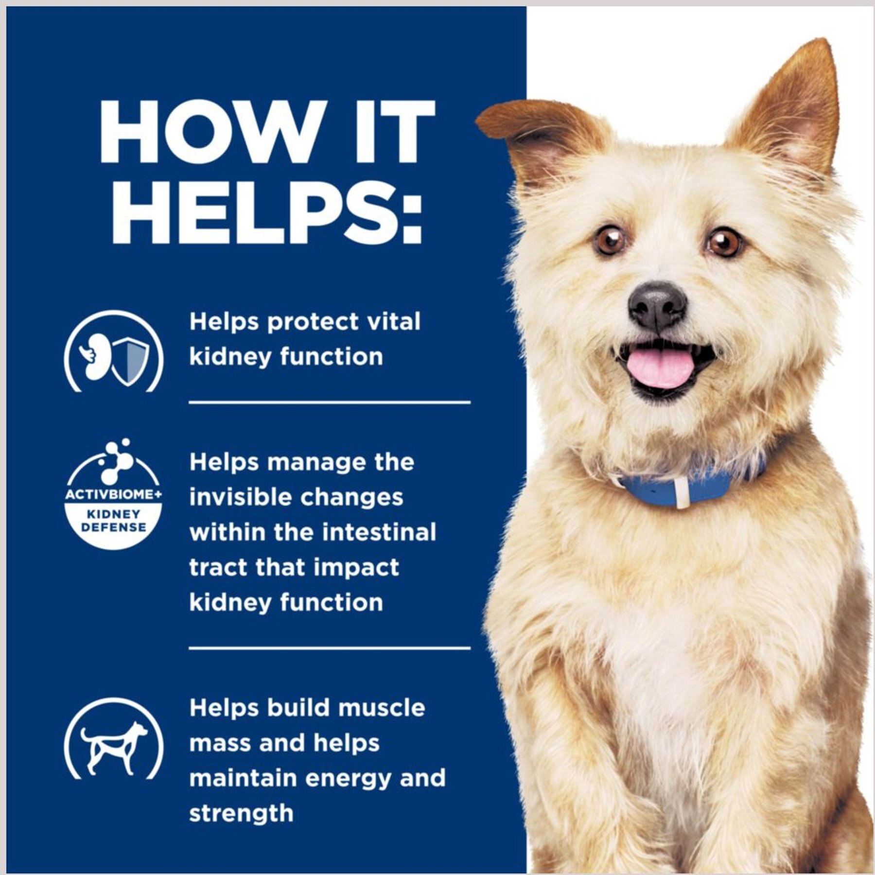 Hill's Prescription Diet k/d Kidney Care with Chicken Wet Dog Food