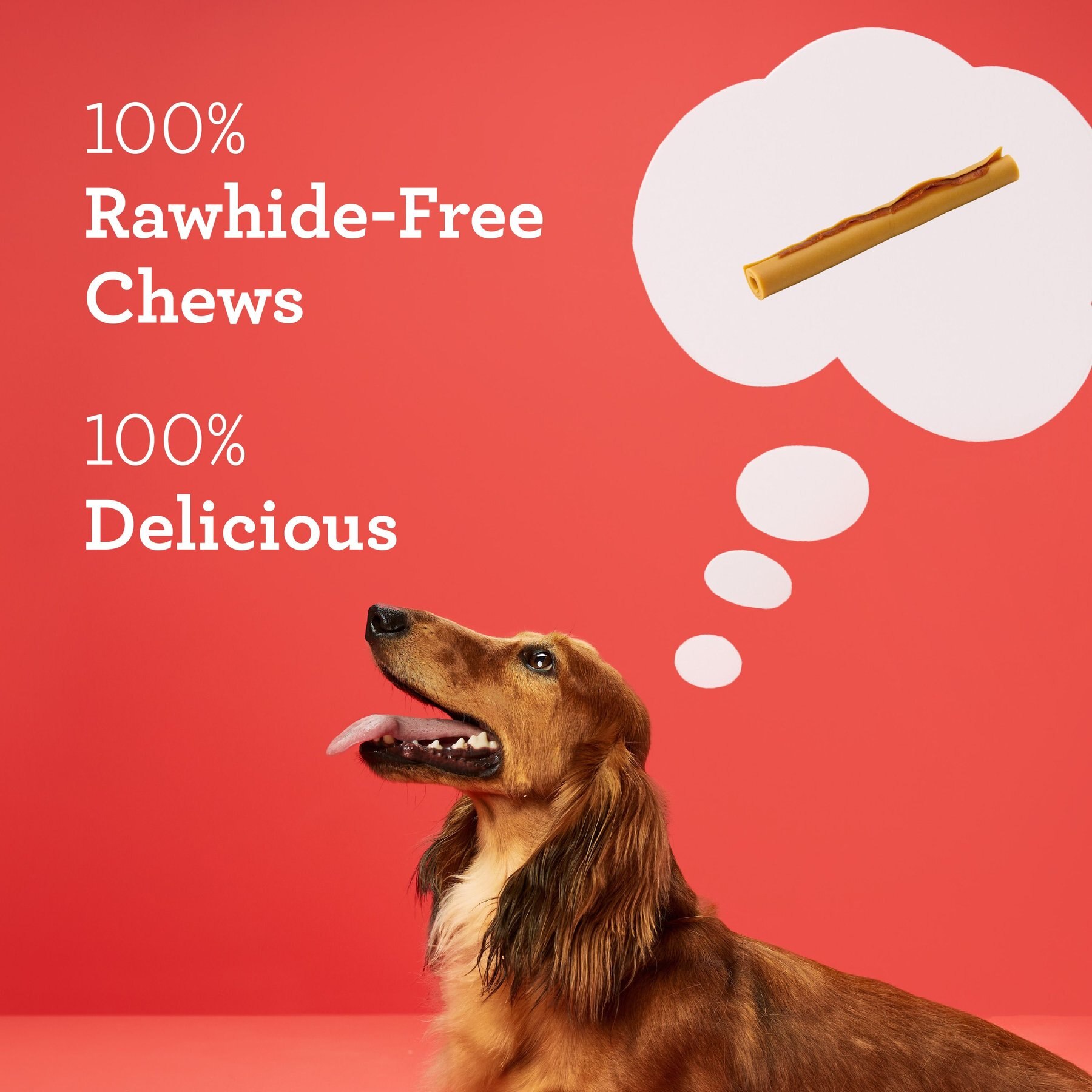 DreamBone DreamSticks Bacon & Cheese Chews Dog Treats, 15 count
