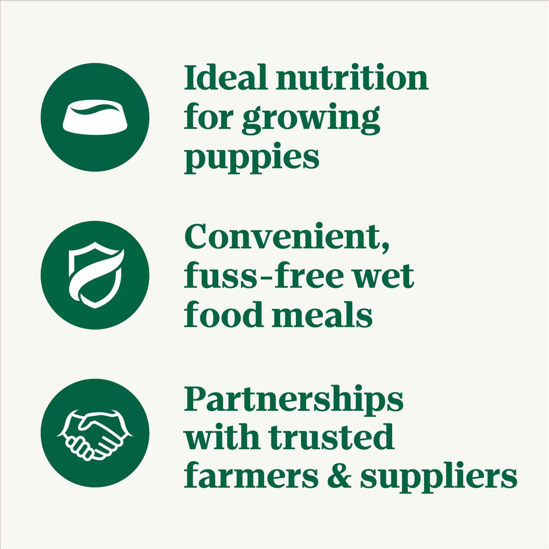 Nutro Puppy Tender Grain-Free Chicken, Sweet Potato & Pea Recipe Bites in Gravy Wet Dog Food Trays