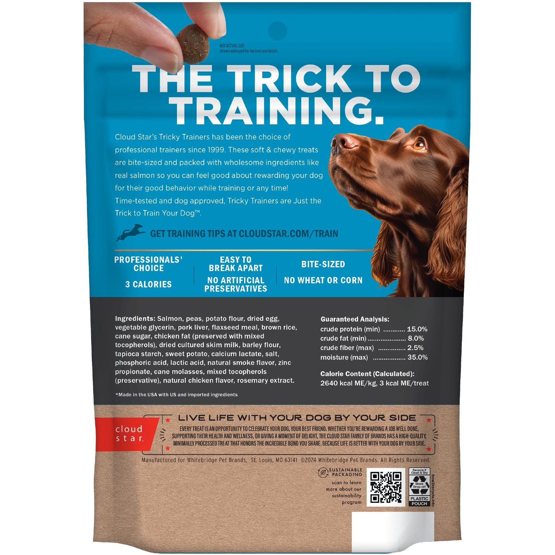 Cloud Star Chewy Tricky Trainers Salmon Flavor Dog Treats