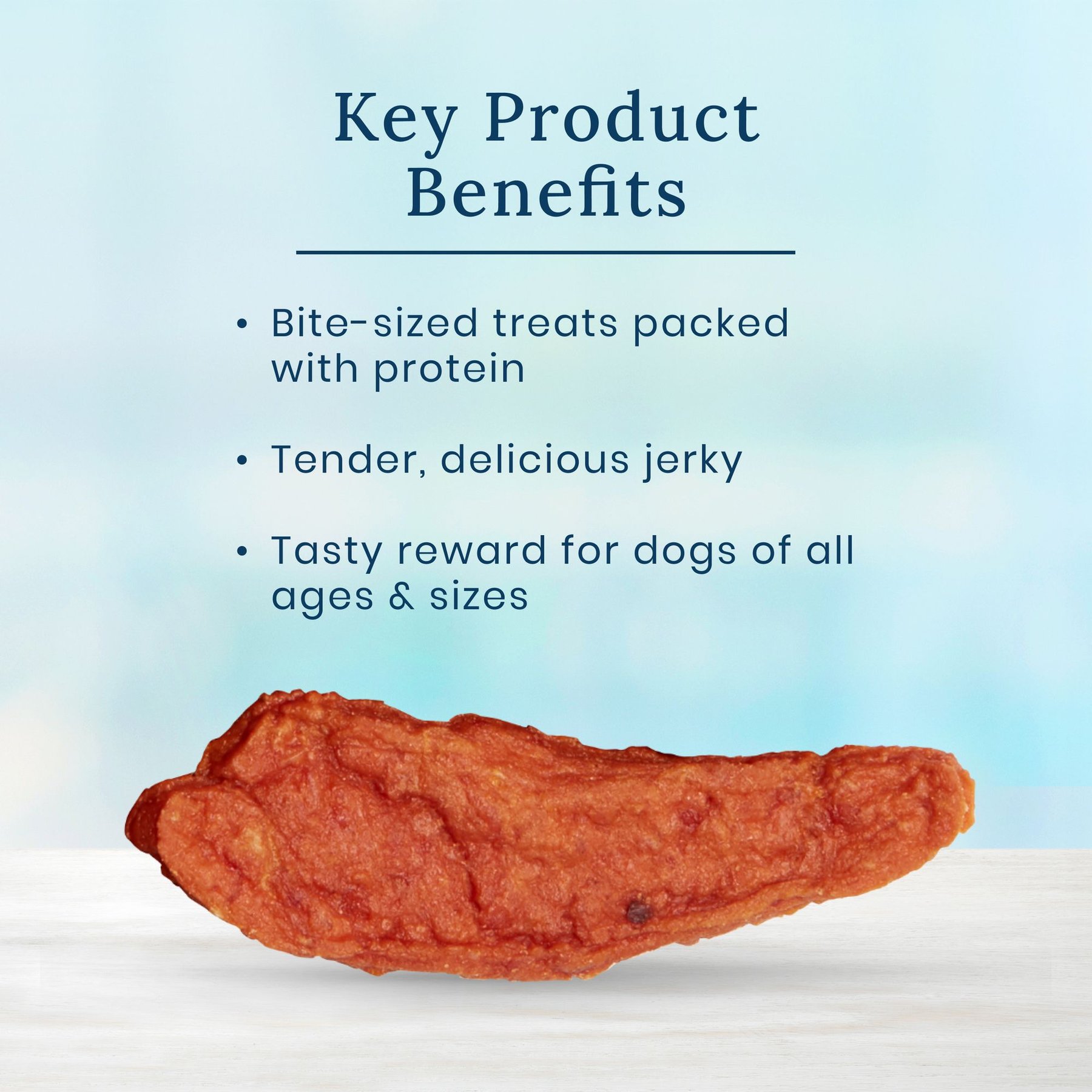 Blue Buffalo Nudges Jerky Bites Chicken Jerky Dog Treats