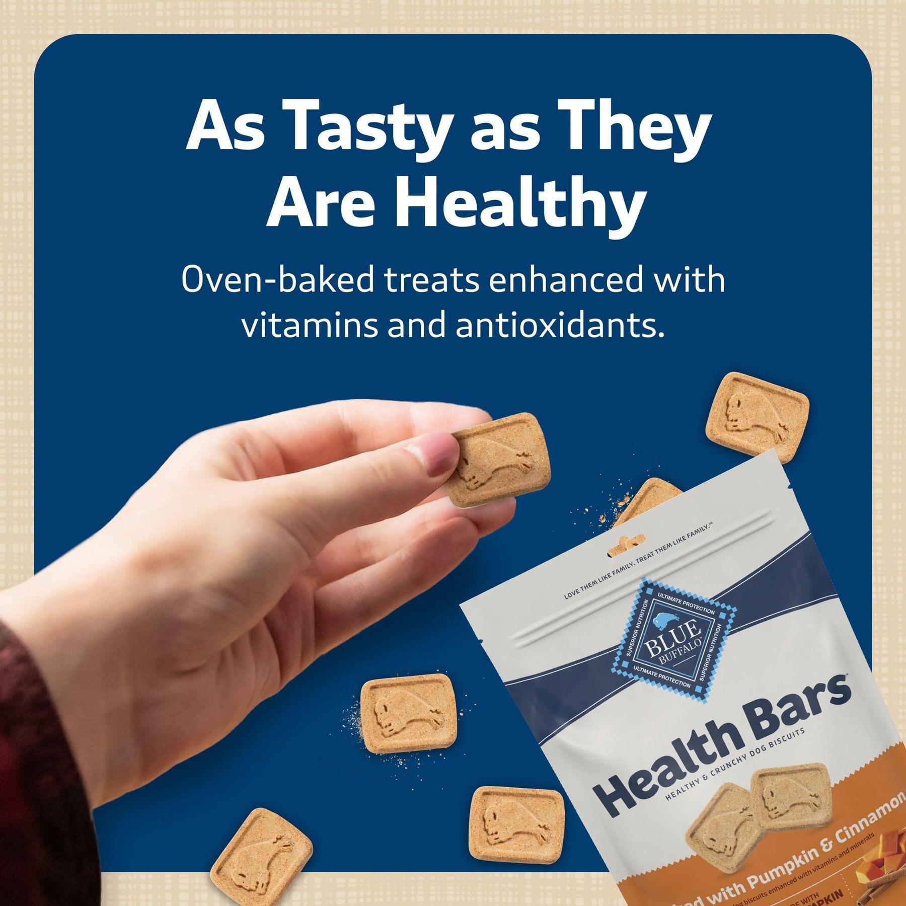 Blue Buffalo Health Bars Baked with Pumpkin & Cinnamon Dog Treats