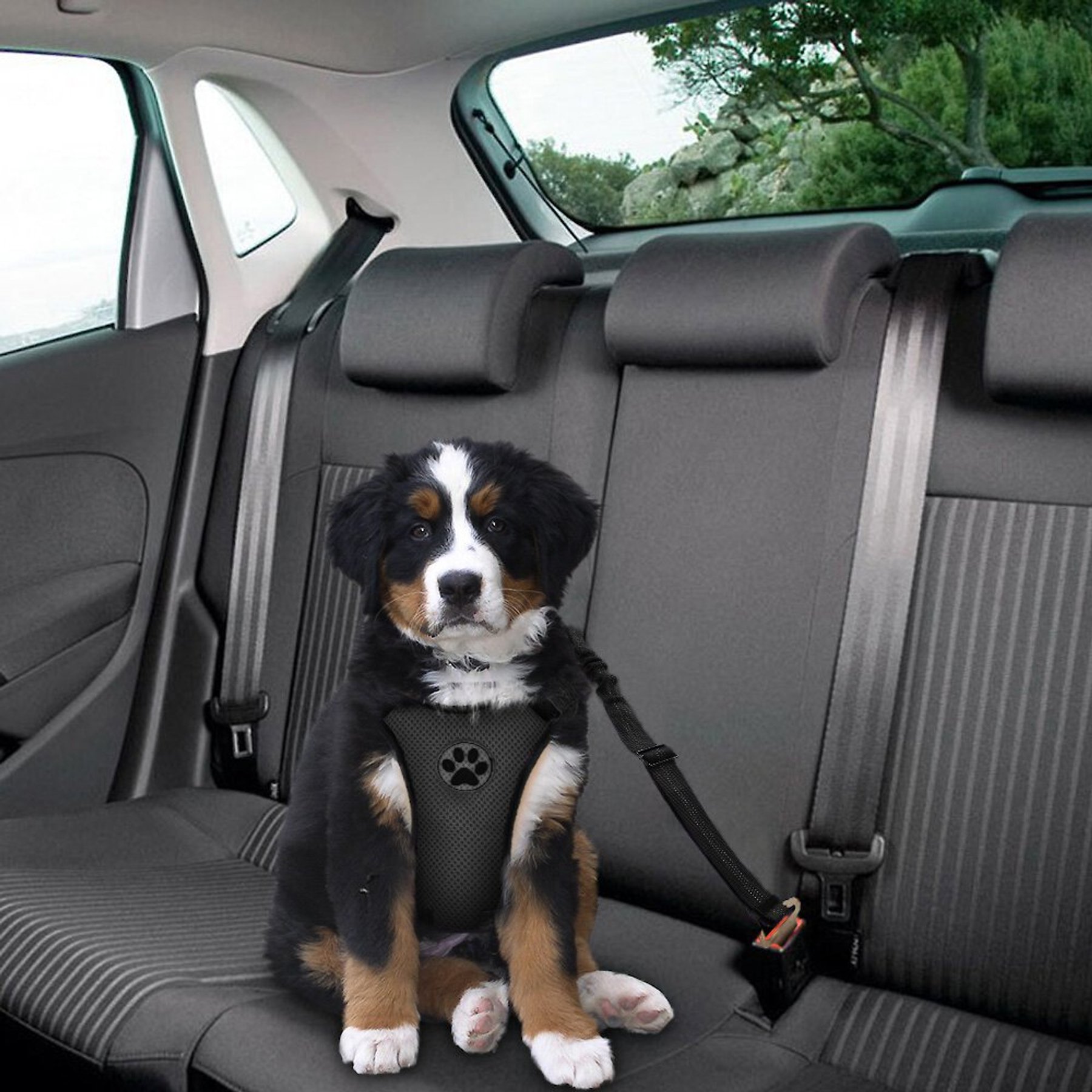 SlowTon Adjustable Dog Car Seat Belt, 2 count