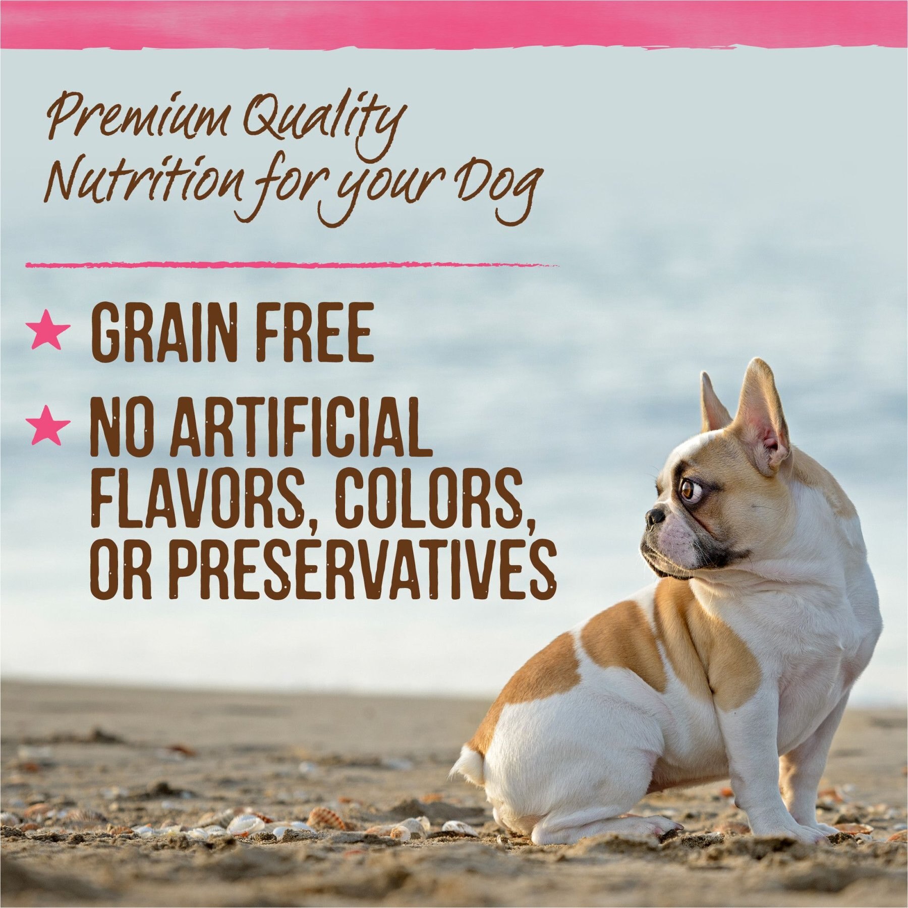 Merrick Lil' Plates Petite Pates Grain-Free Small Breed Wet Dog Food, Variety Pack, 3-oz can, case of 12