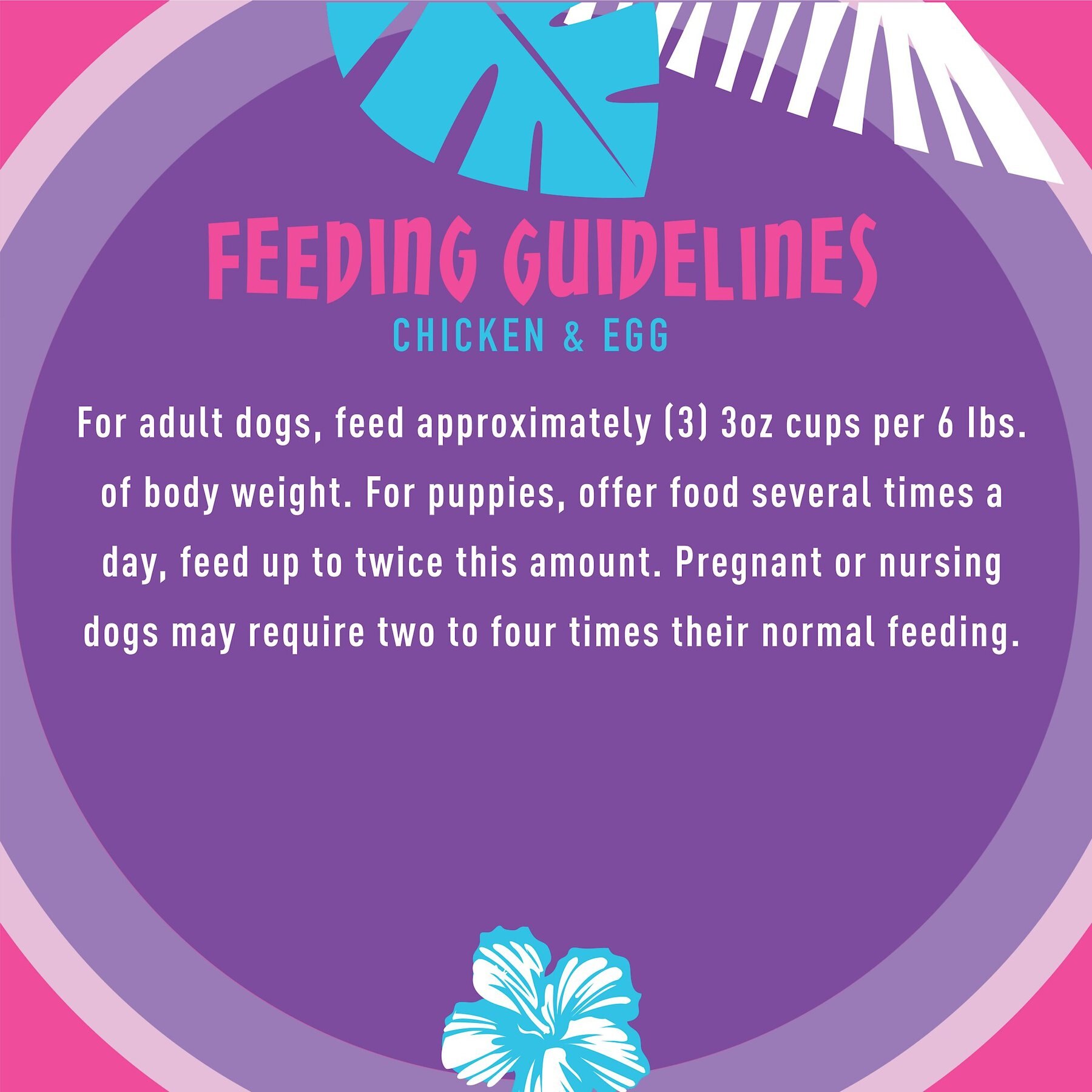 Tiki Dog Meaty High Protein Diet Chicken with Egg Recipe in Broth Grain-Free Wet Dog Food, 3-oz cup, case of 4
