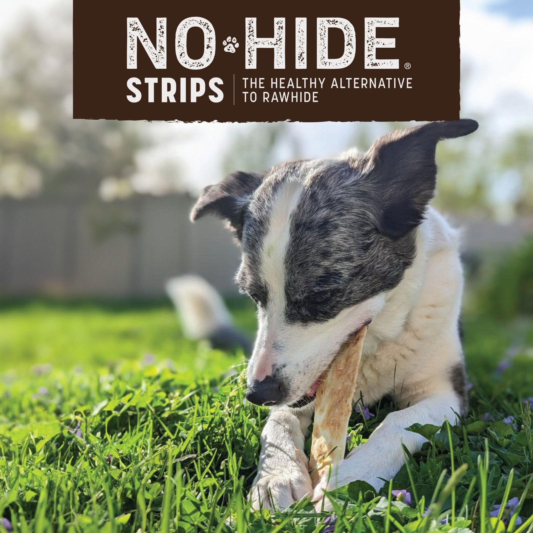 Earth Animal No-Hide Strips Natural Rawhide Alternative Barbeque Bacon Cheeseburger Recipe Chew Dog Treat