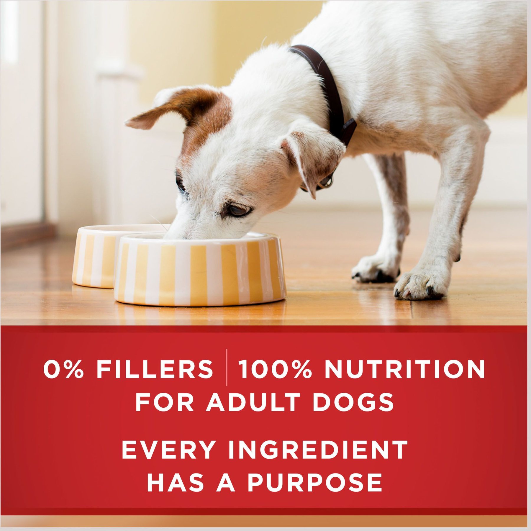 Purina ONE SmartBlend Tender Cuts in Gravy Chicken & Brown Rice Entree Adult Canned Dog Food