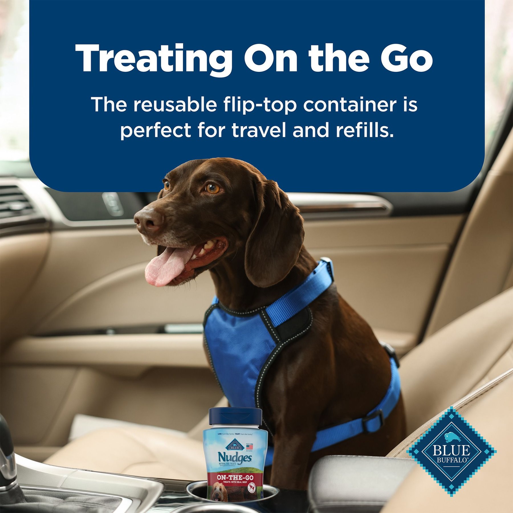 Blue Buffalo Nudges On The Go Beef Natural Dog Treats, 5.5-oz container