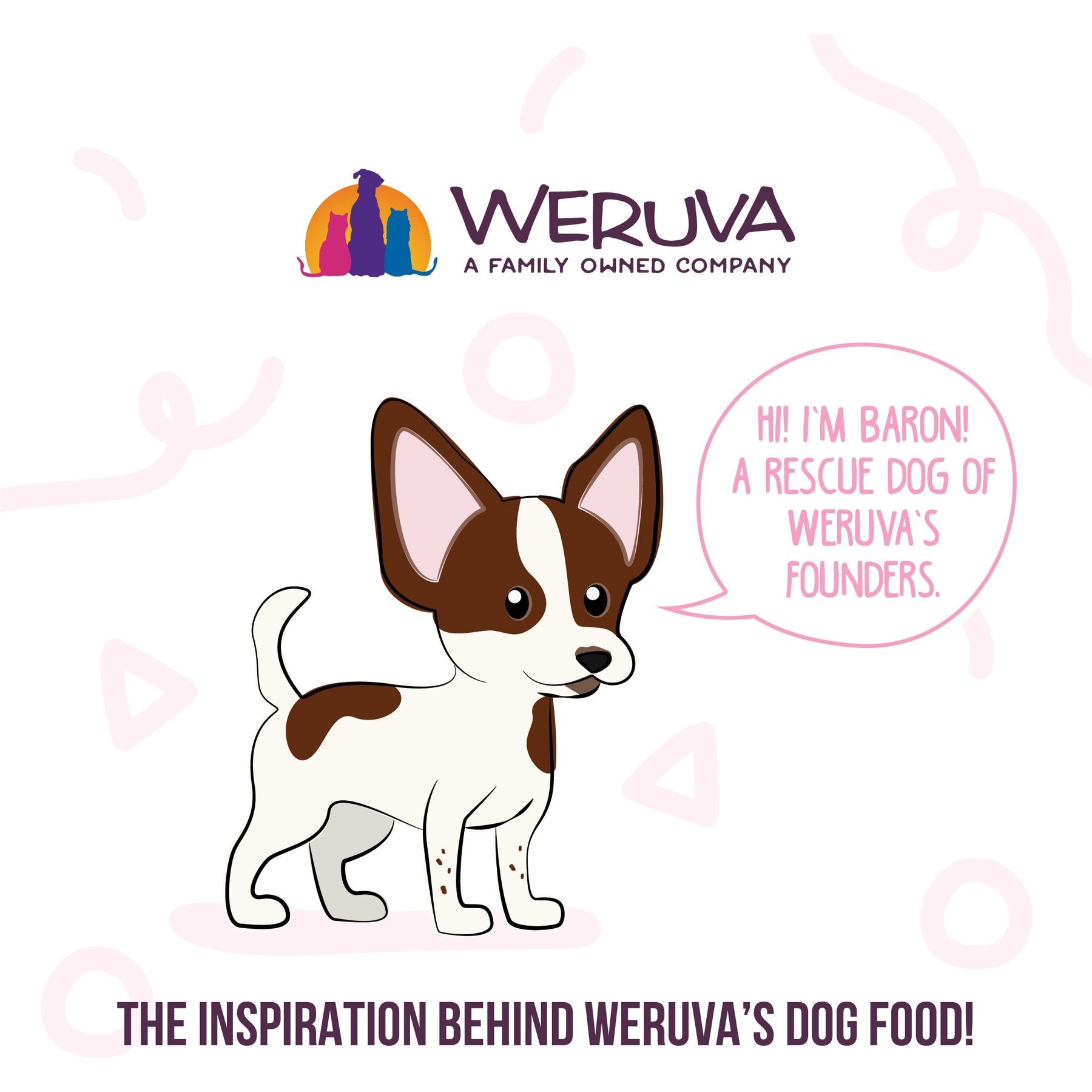 Weruva Meals 'n More Natural Wet Dog Food, Belly Belly Nice! Digestive Support Variety Pack, 3.5-oz cup, 10 count