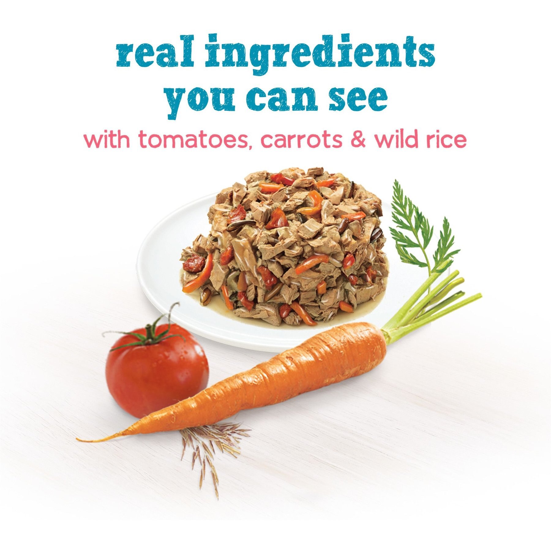 Purina Beneful IncrediBites with Real Salmon & Gravy Small Breed Wet Dog Food