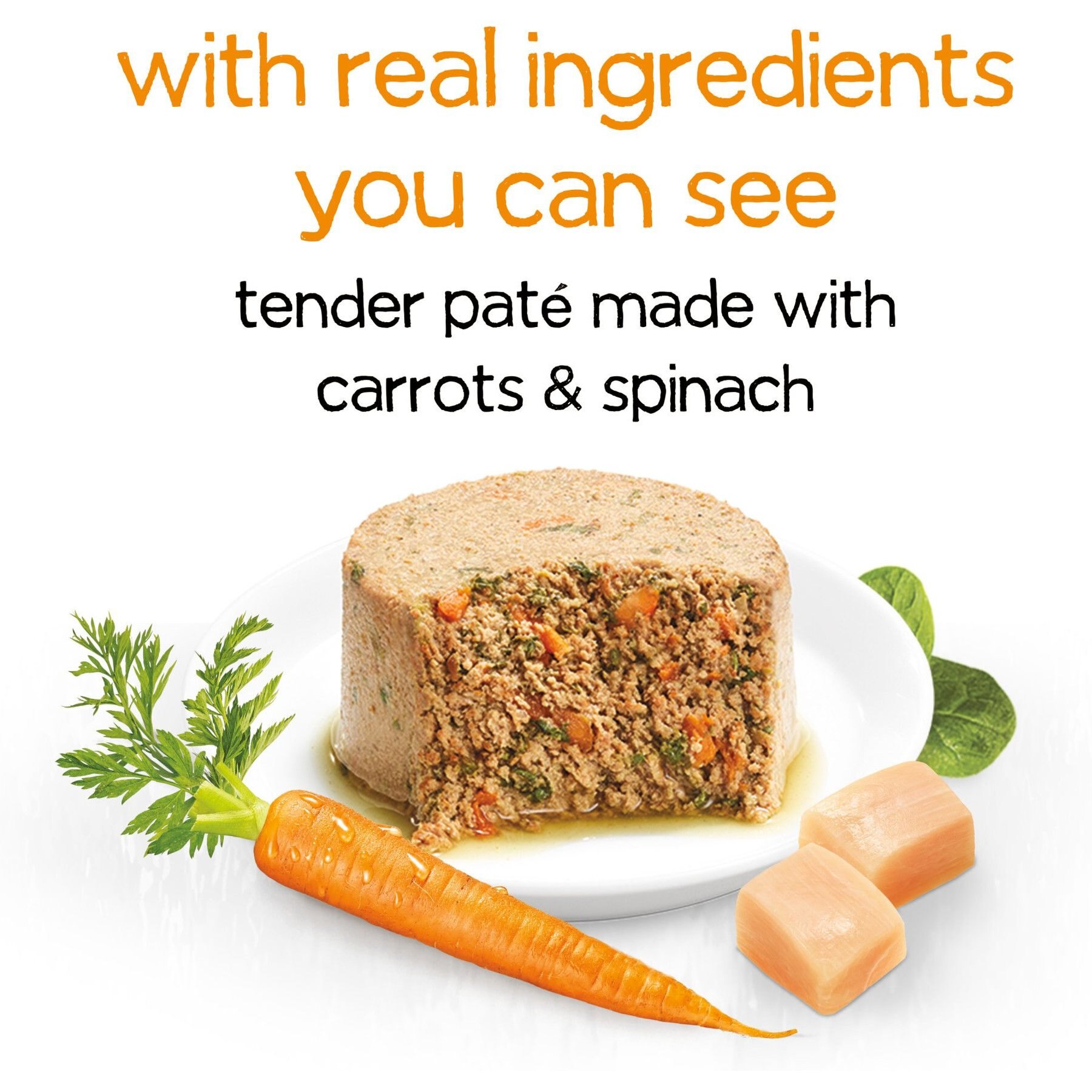 Purina Beneful Infused Pate with Real Chicken, Carrots & Spinach Wet Dog Food, 3-oz