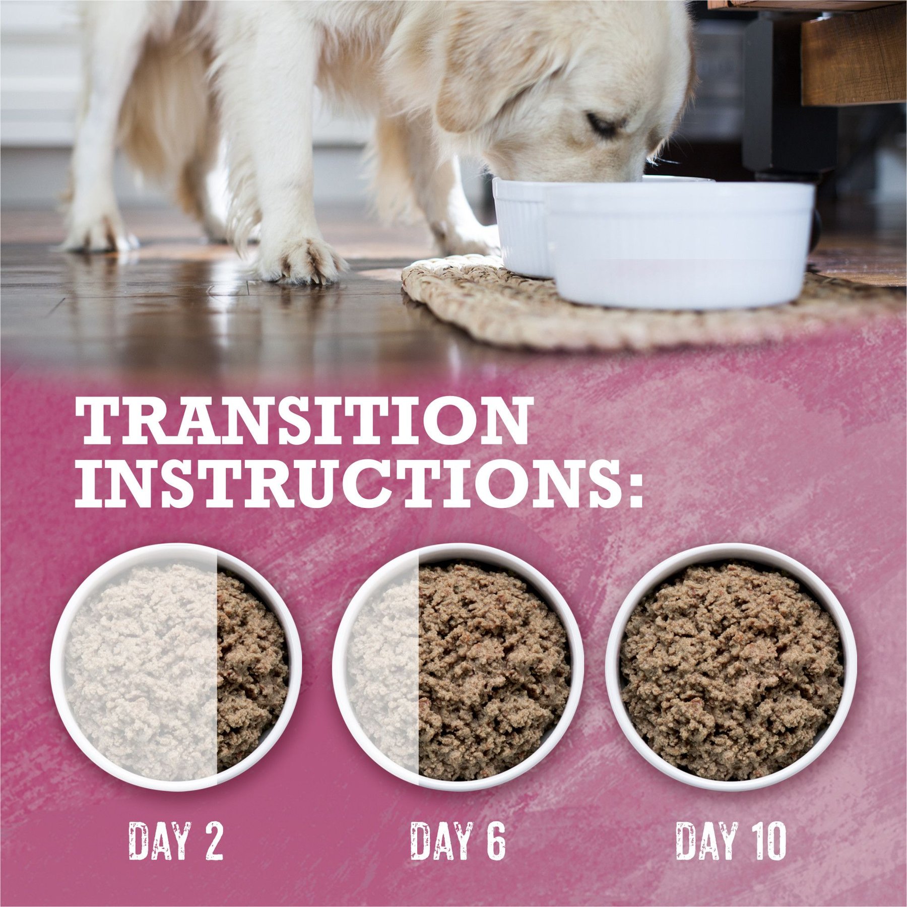Purina Beyond Wild Prey-Inspired Grain-Free High Protein Beef, Liver & Lamb Pate Recipe Canned Dog Food