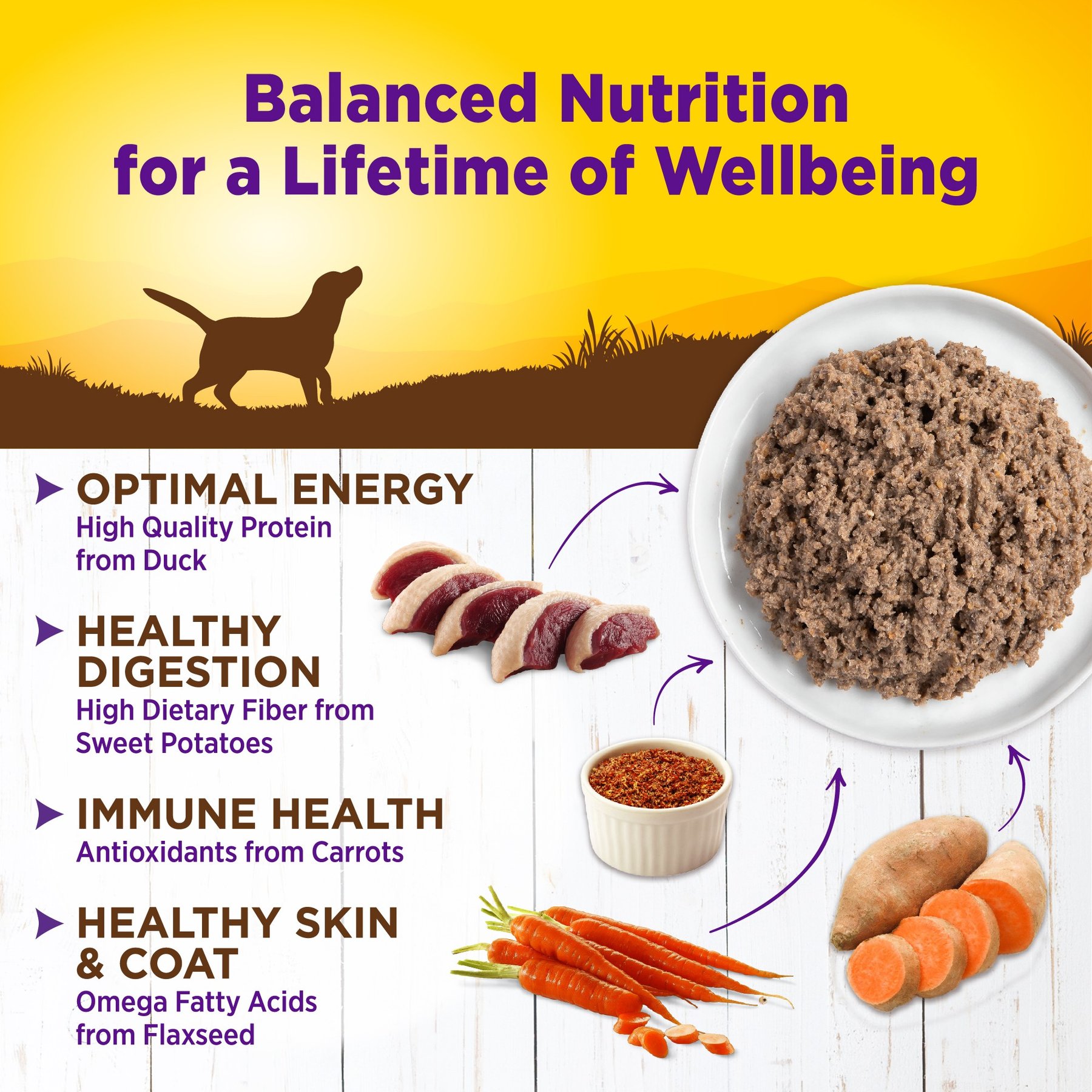 Wellness Complete Health Duck & Sweet Potato Formula Canned Dog Food