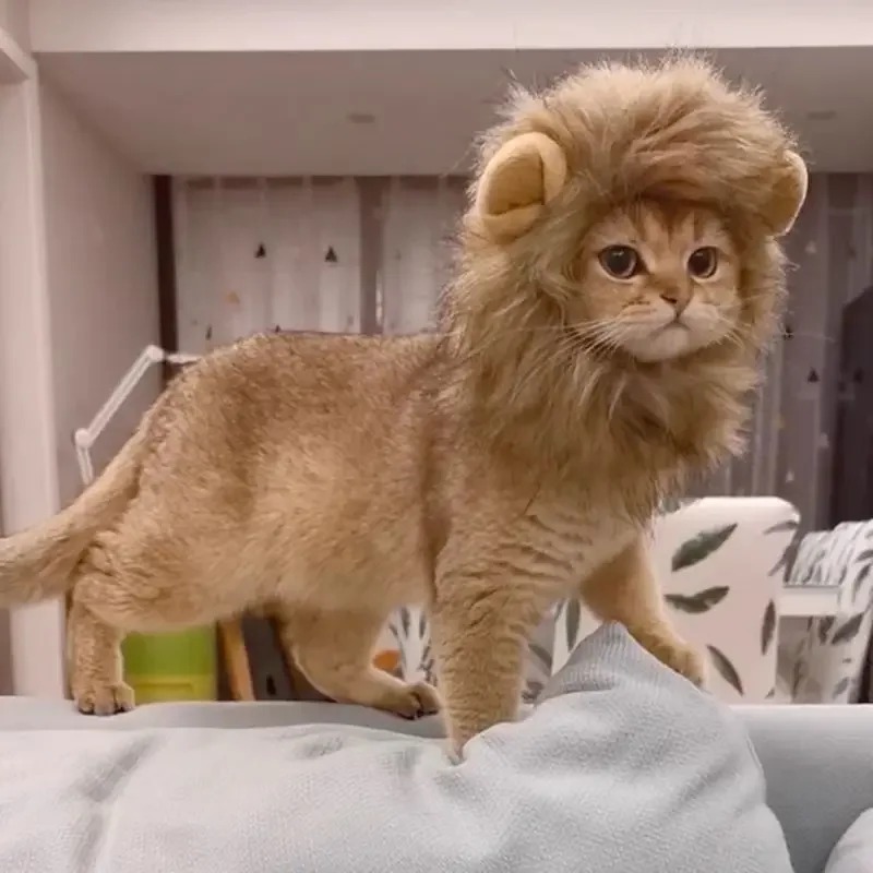 Cute Mane Hat for Dogs and Small Dog Cat Decor Accessories Lion Wig Fancy Hair Cap Pet Supplies
