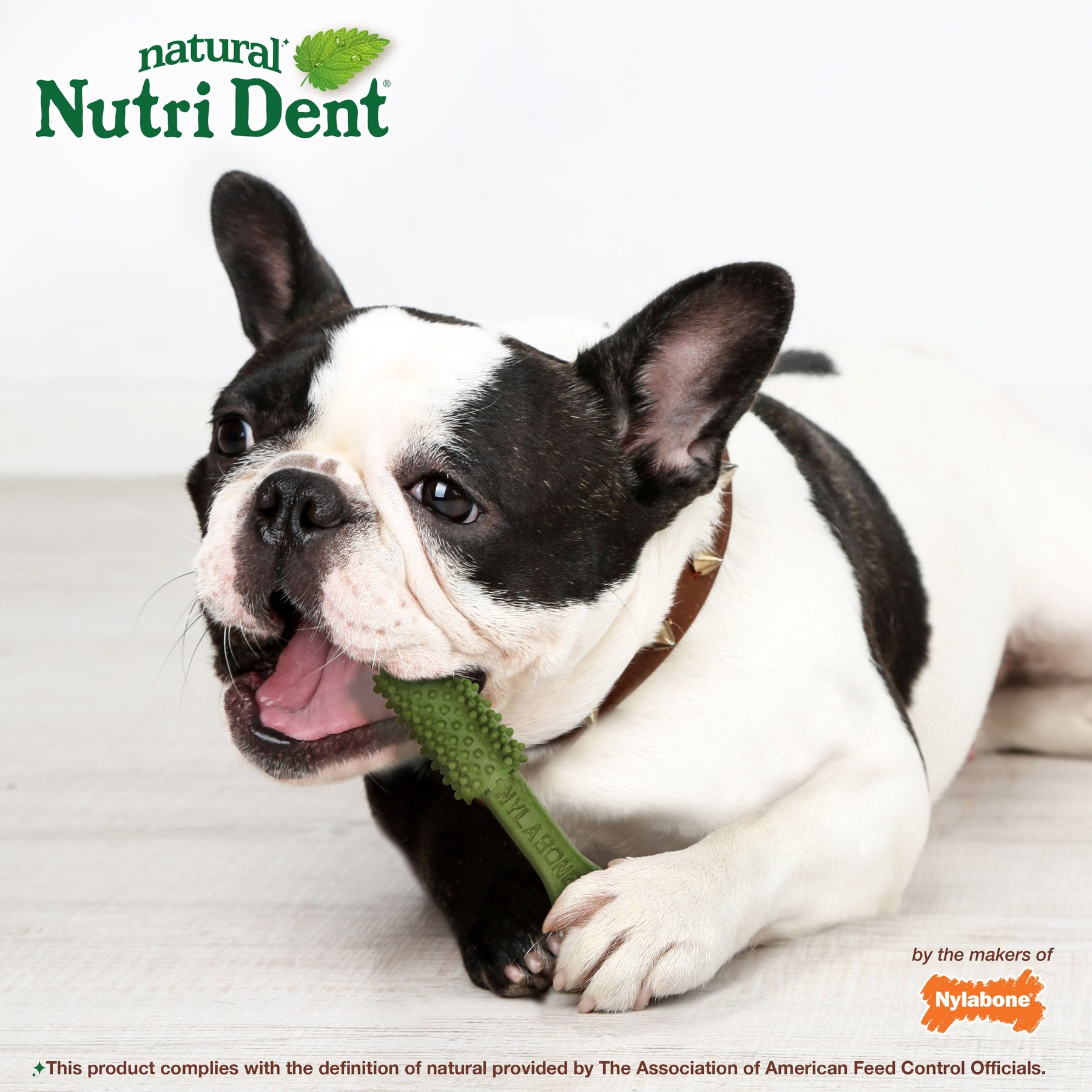 Nylabone Nutri Dent Natural Dental Fresh Breath Flavored Chew Treat, Medium
