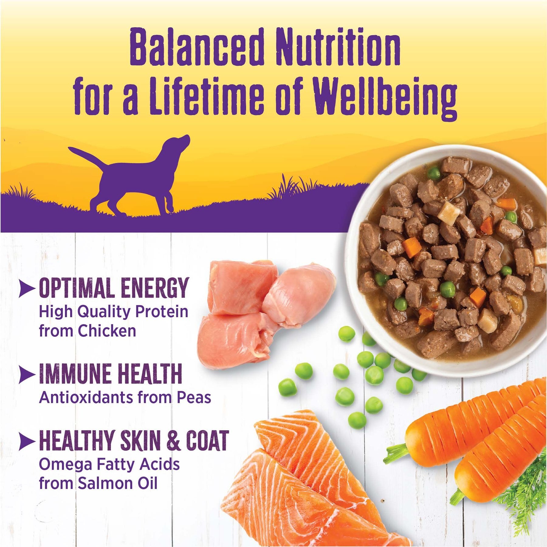 Wellness Chicken Stew with Peas & Carrots Grain-Free Natural Canned Dog Food