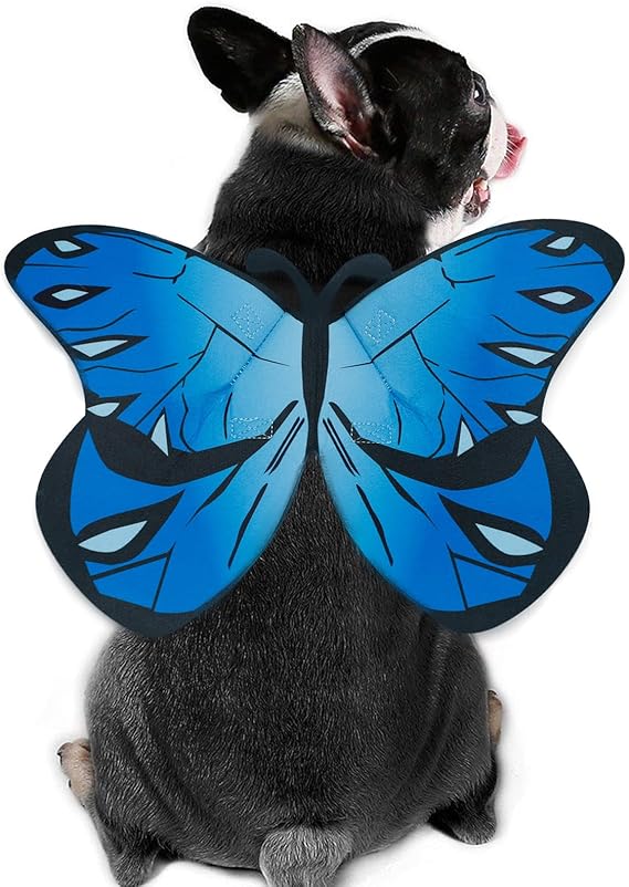 Butterfly Dog Cat,Butterfly Wings Small Large Dogs Cats,Dog Costume for Halloween