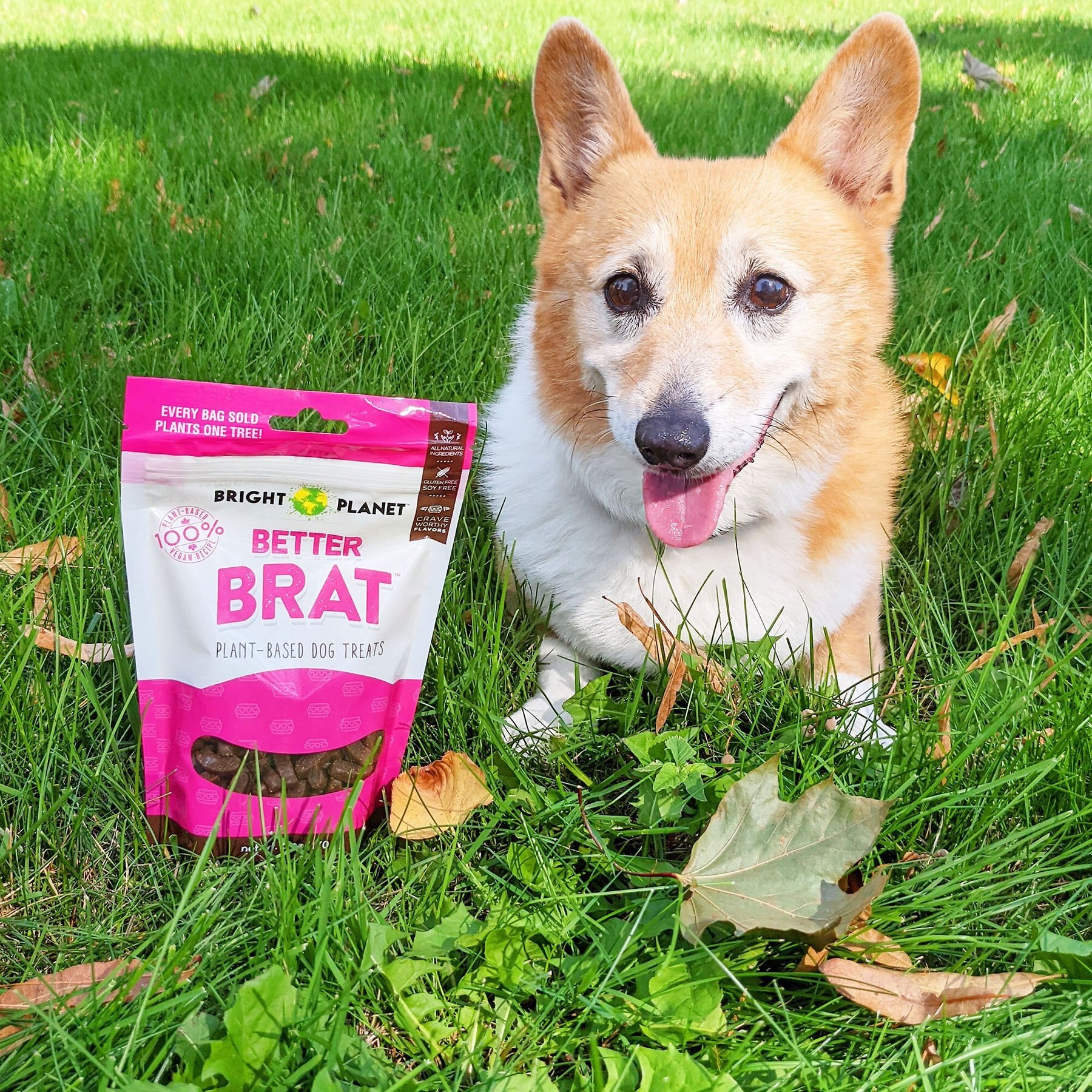Bright Planet Pet Better Brat Plant-Based Dog Treats, 6-oz bag