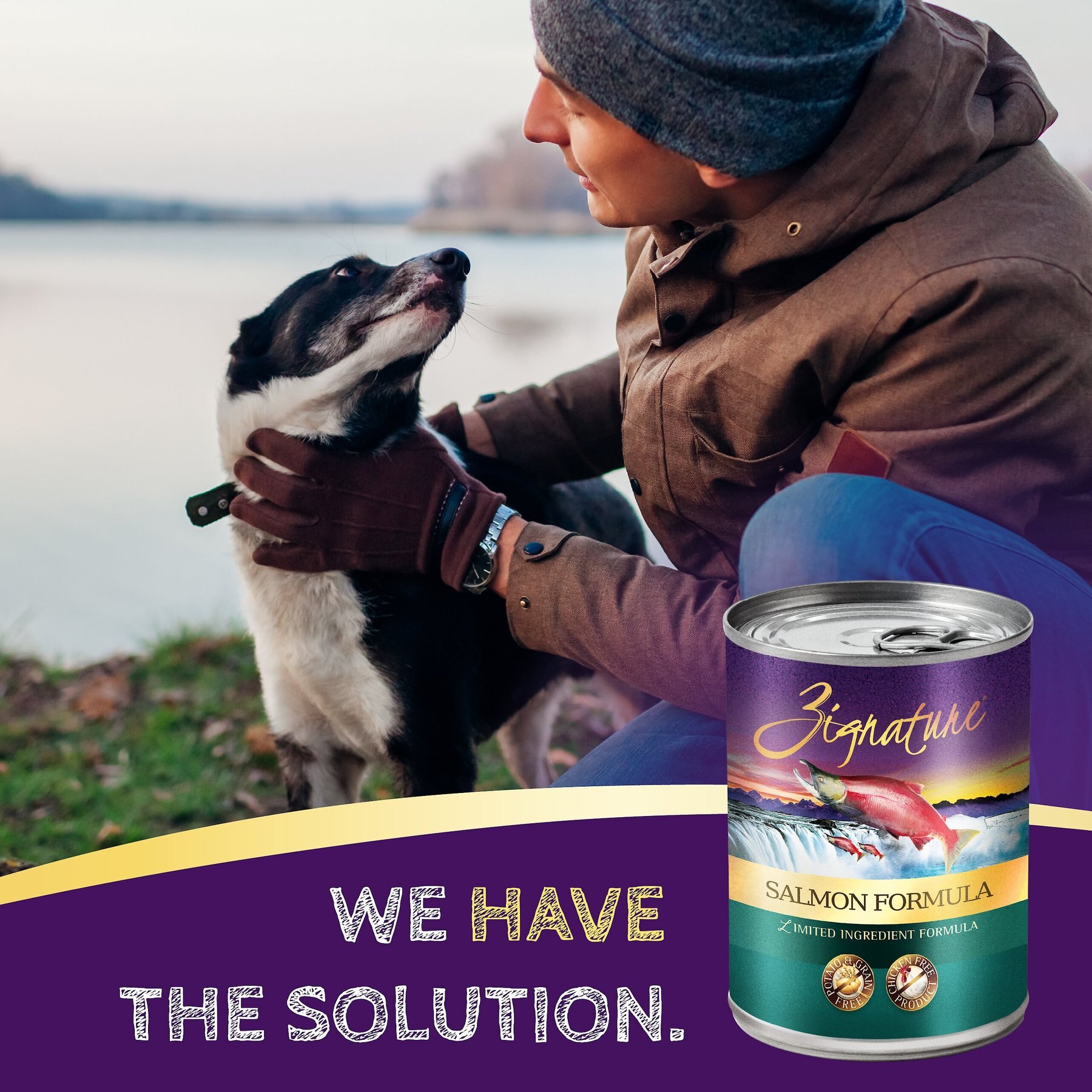 Zignature Salmon Limited Ingredient Formula Canned Dog Food