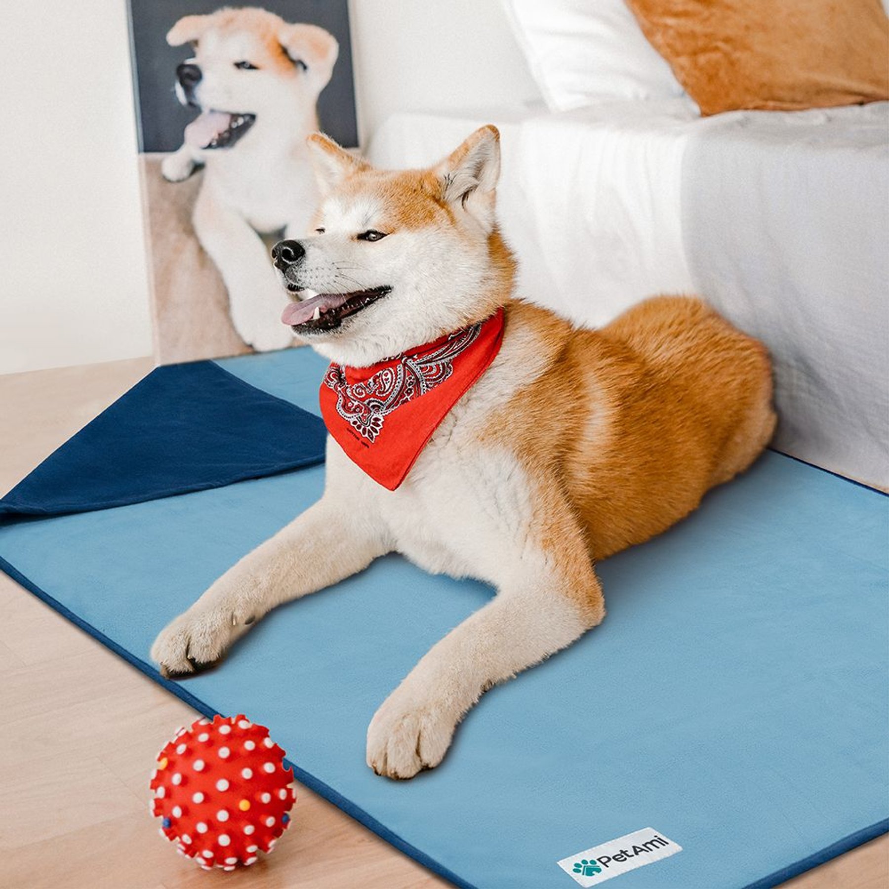 PetAmi Reversible Fleece Waterproof Cat & Dog Blanket