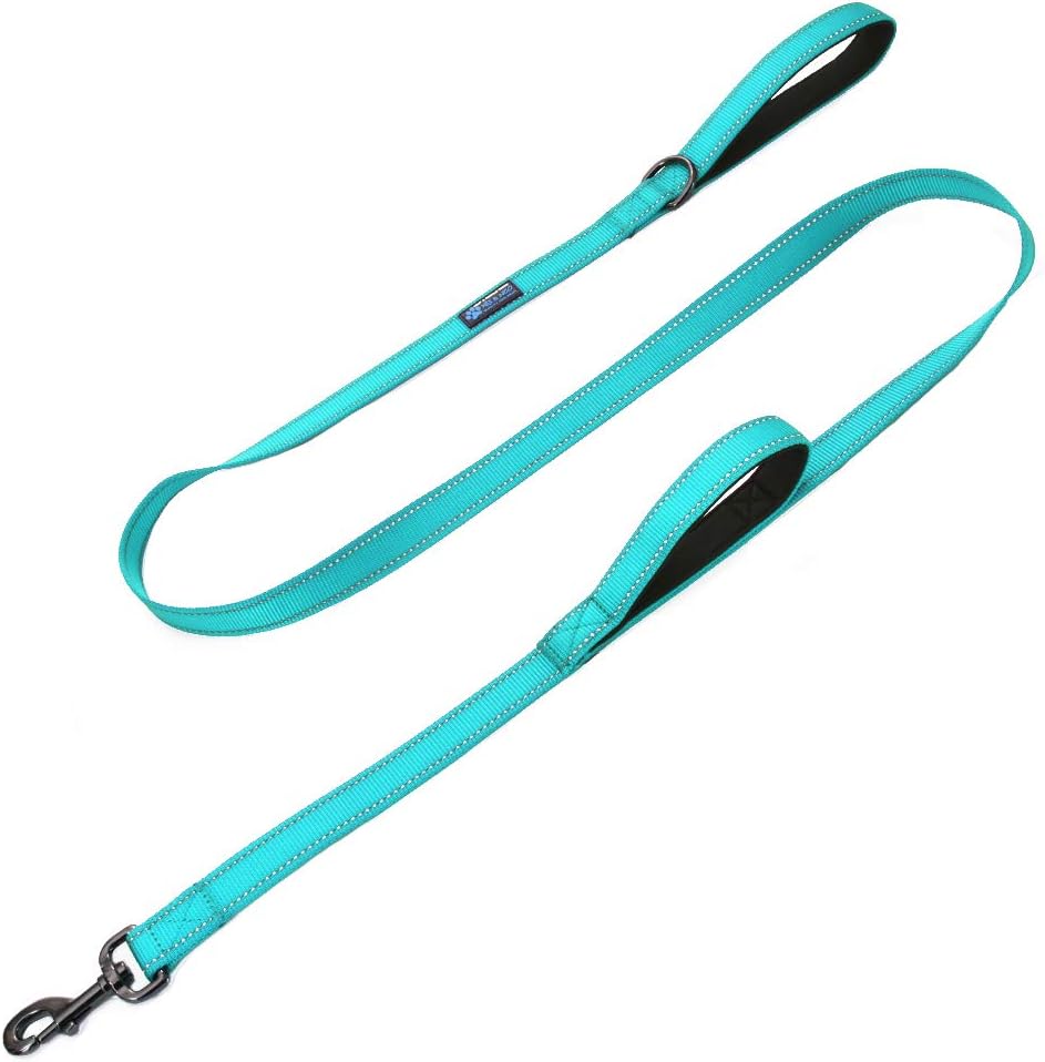 Max and Neo Double Handle Traffic Reflective - We Donate to a Dog Rescue for Every Leash Sold (Black, FT
