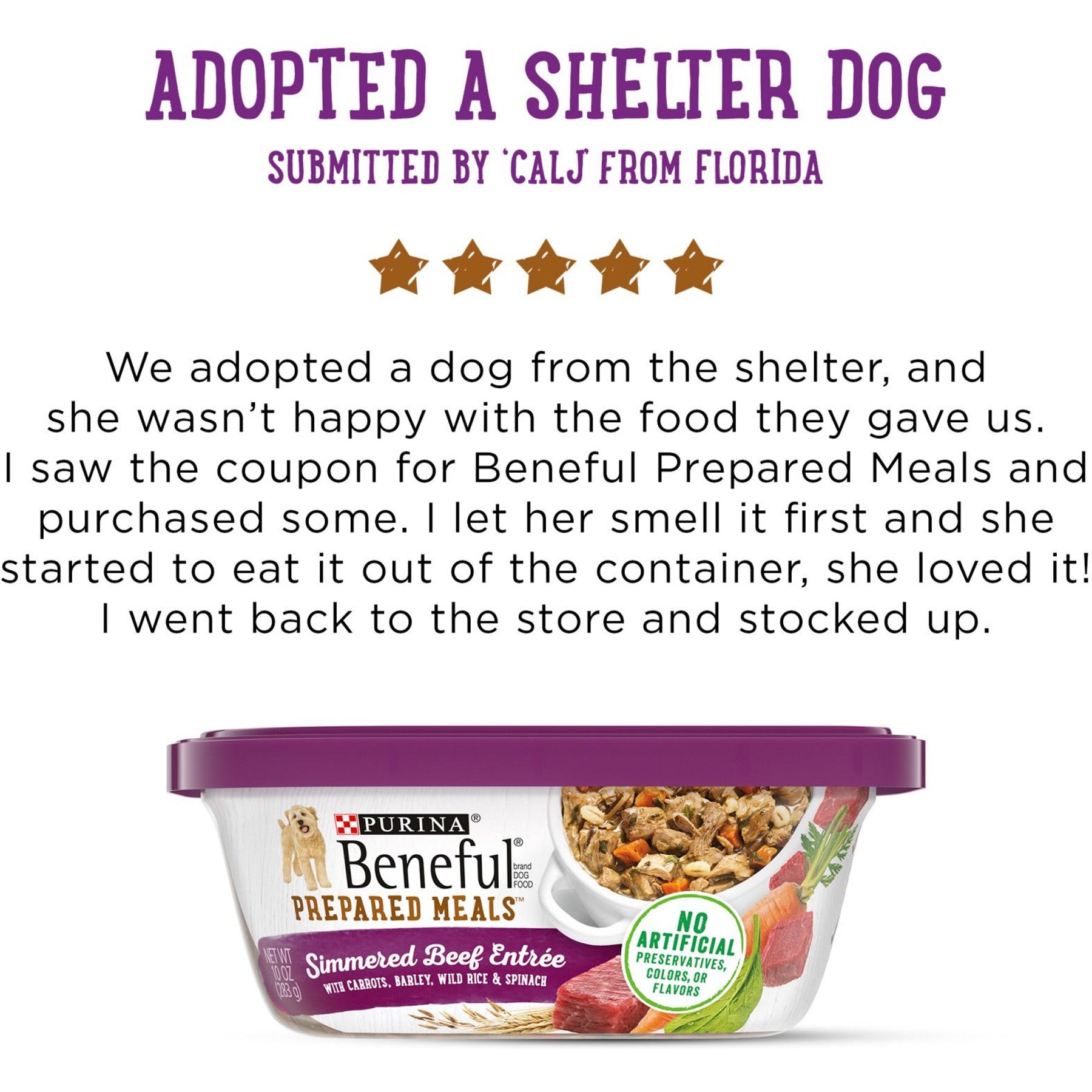 Purina Beneful Prepared Meals Simmered Beef Entree with Carrots, Barley, Wild Rice & Spinach Wet Dog Food