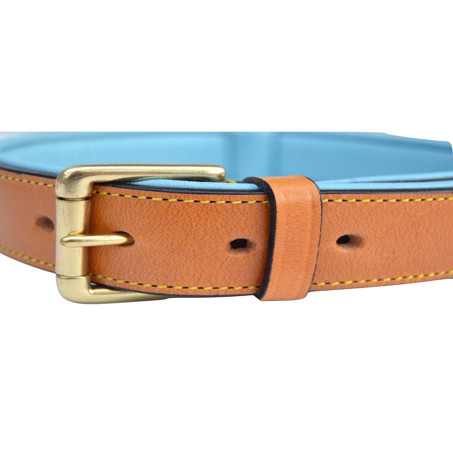Soft Touch Collars Leather Two-Tone Padded Dog Collar