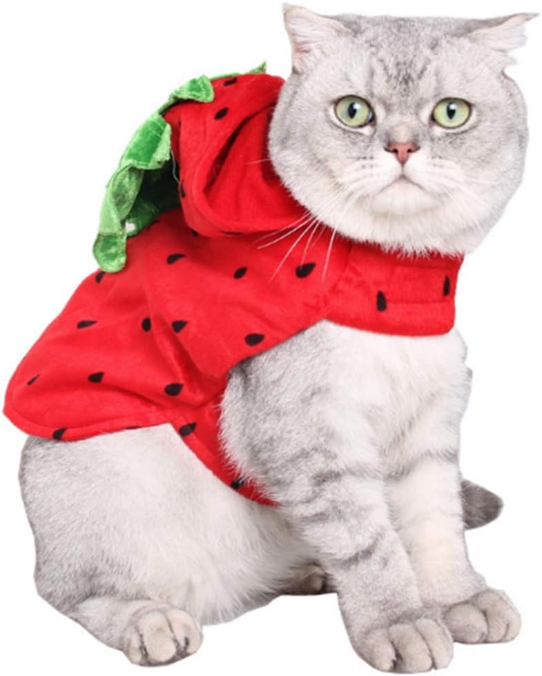 ANIAC Pet Pumpkin Costume Cat Hat Cloak Sets Puppy Poncho Halloween Cosplay for Kitty Small Medium Sized Dog