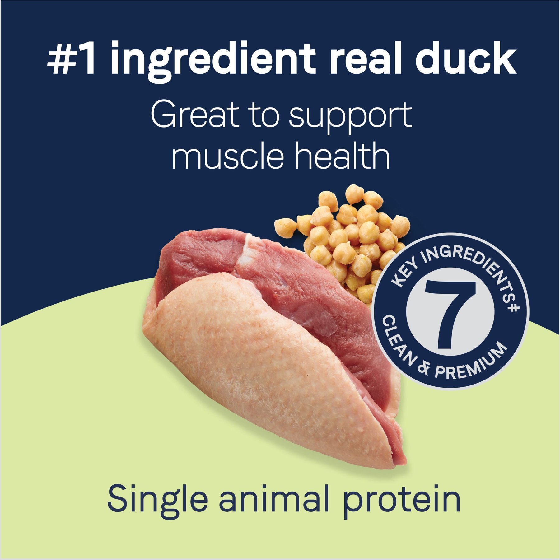 CANIDAE Grain-Free PURE Heaven Biscuits with Duck & Chickpeas Crunchy Dog Treats