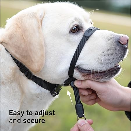 SVD.PET No-Pull Dog Headcollar Easier Walks, Chew-Proof Protector Increase Comfort, Simple Design, Easy to Wear Adjust (Medium for Small and Medium Si