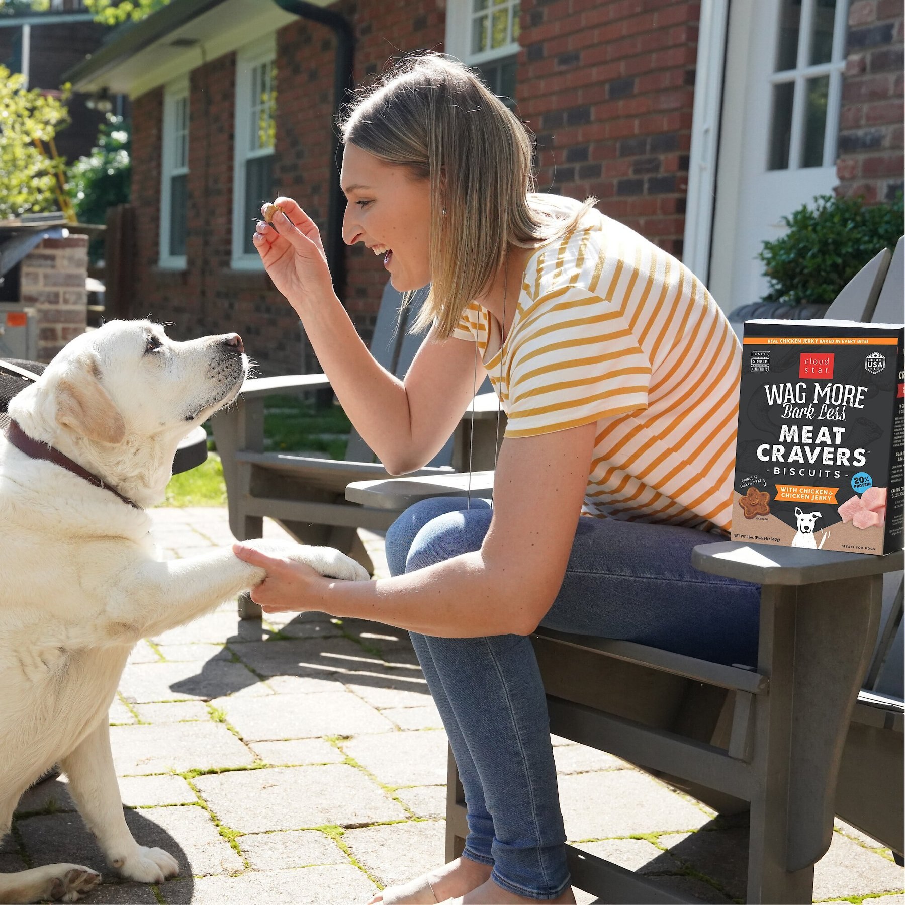 Cloud Star Wag More Bark Less Chicken Cravers Dog Crunchy Treats, 12-oz bag