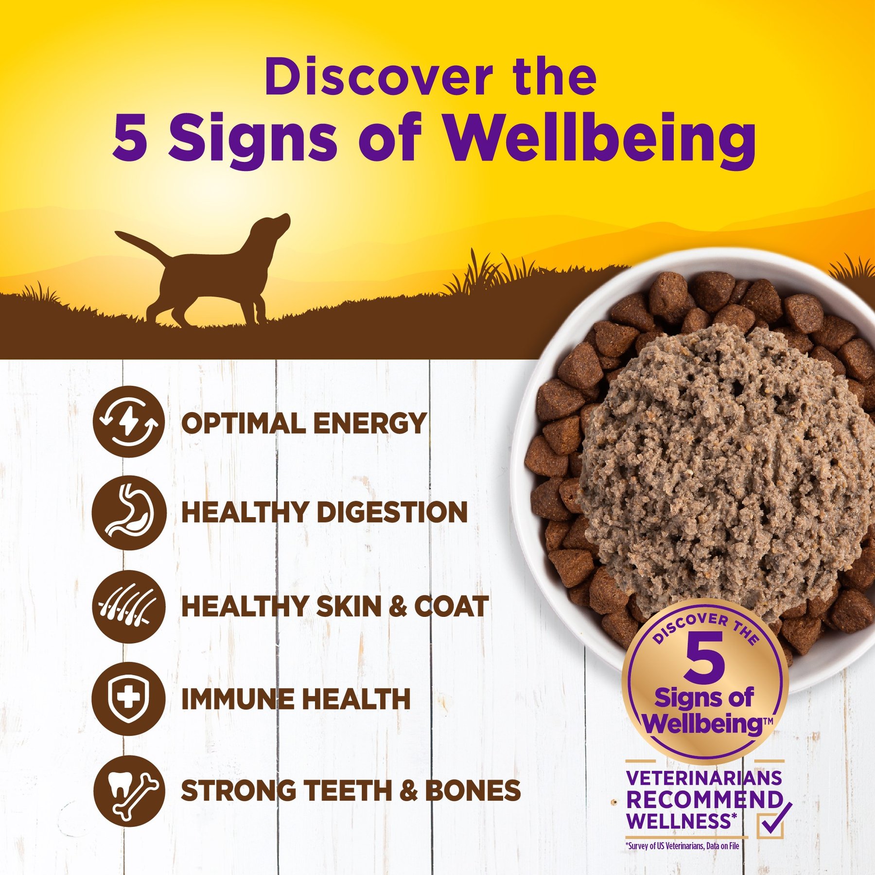 Wellness Complete Health Duck & Sweet Potato Formula Canned Dog Food
